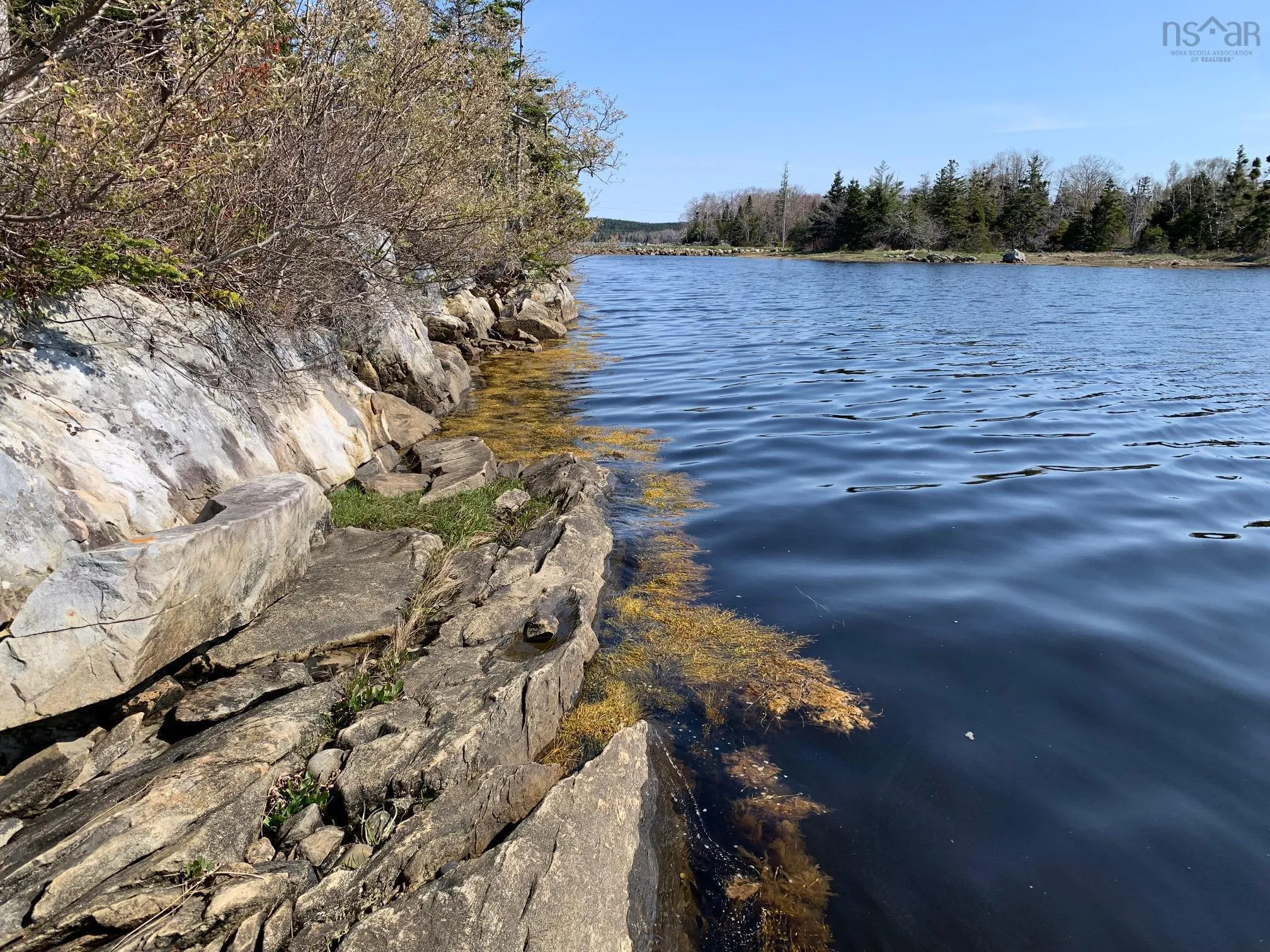 336 Indian Point Road, East Port Medway, NS B0J 2H0, ,Land,For Sale,Indian Point,202521565