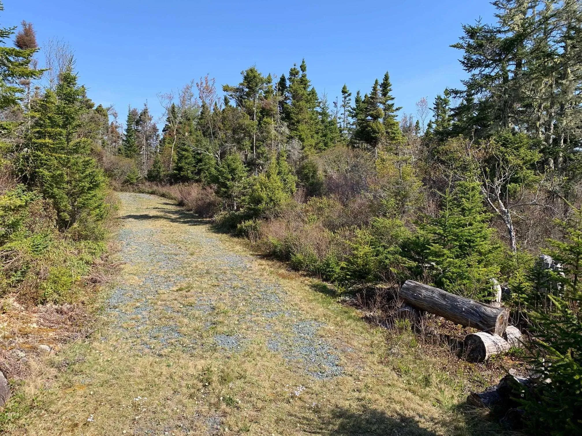336 Indian Point Road, East Port Medway, NS B0J 2H0, ,Land,For Sale,Indian Point,202521565