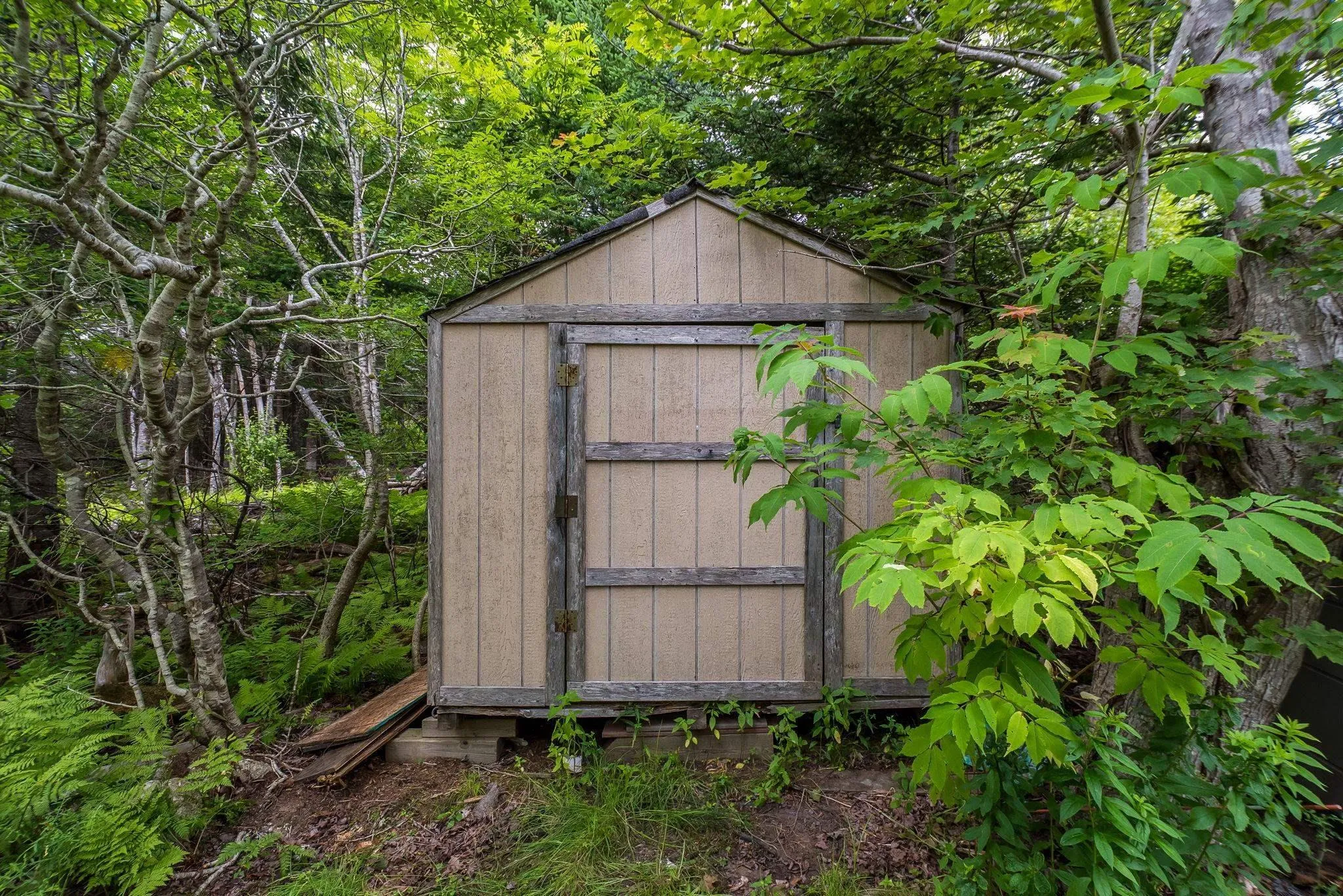 2515 Old Sambro Road, Williamswood, NS B3V 1E1, 4 Bedrooms Bedrooms, ,2 BathroomsBathrooms,Residential,For Sale,Old Sambro,202519232