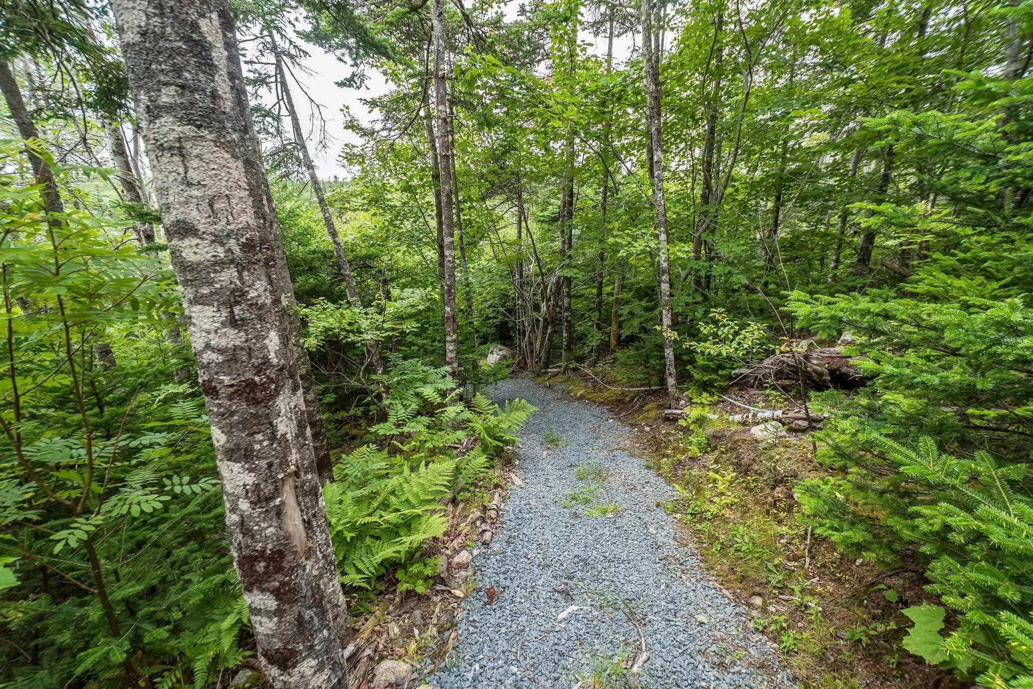 2515 Old Sambro Road, Williamswood, NS B3V 1E1, 4 Bedrooms Bedrooms, ,2 BathroomsBathrooms,Residential,For Sale,Old Sambro,202519232