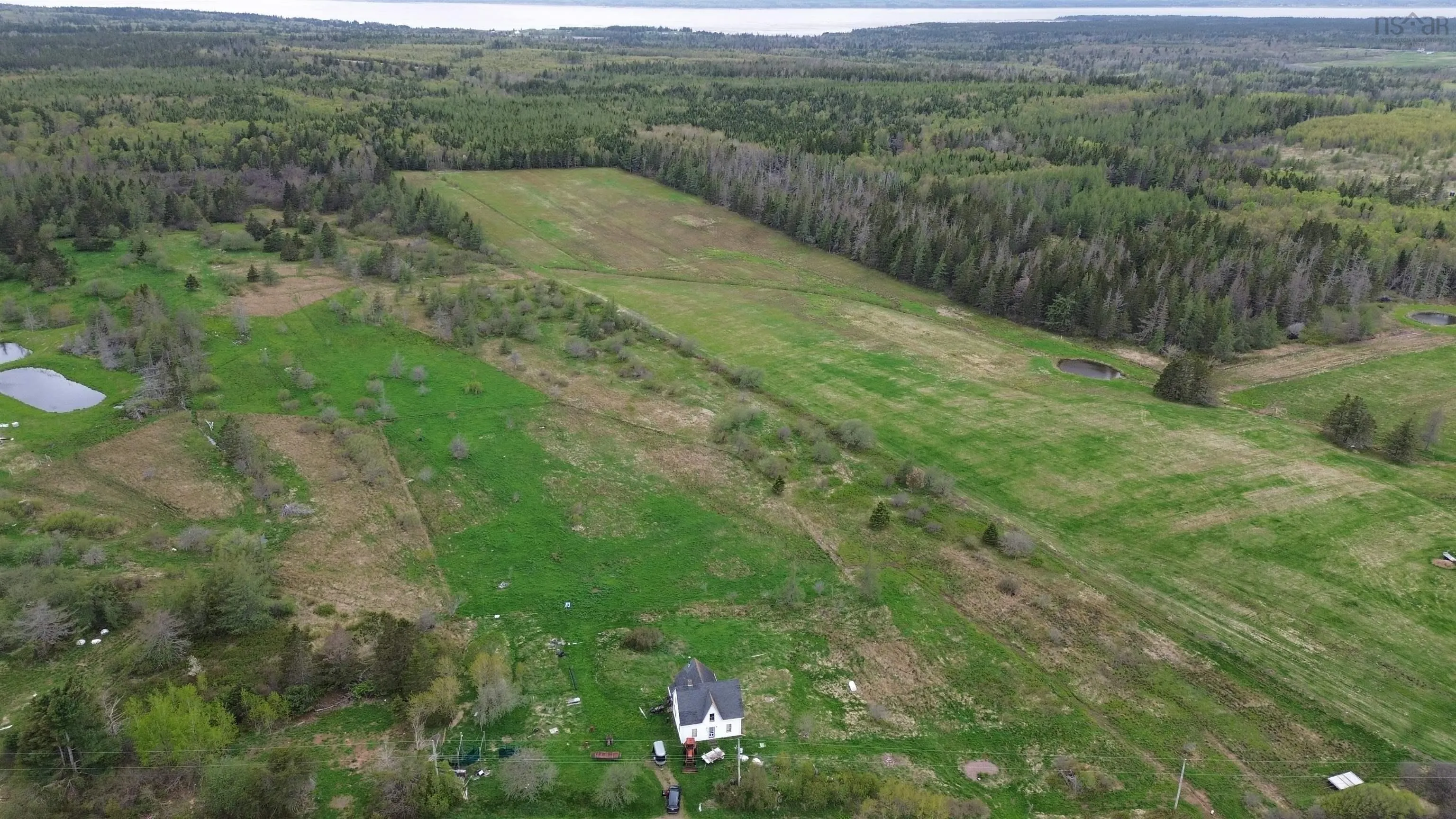 4855 Barronsfield Road, Barronsfield, NS B0L 1G0, ,Land,For Sale,Barronsfield,202522799