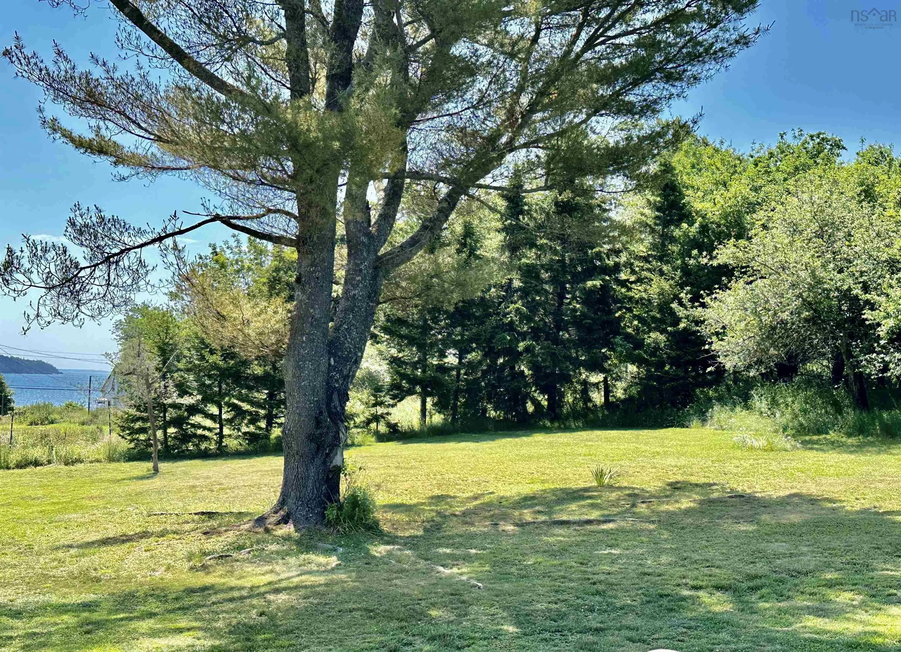 3646 Highway 331, Lahave, NS B0R 1C0, 1 Bedroom Bedrooms, ,1 BathroomBathrooms,Residential,For Sale,Highway 331,202525440