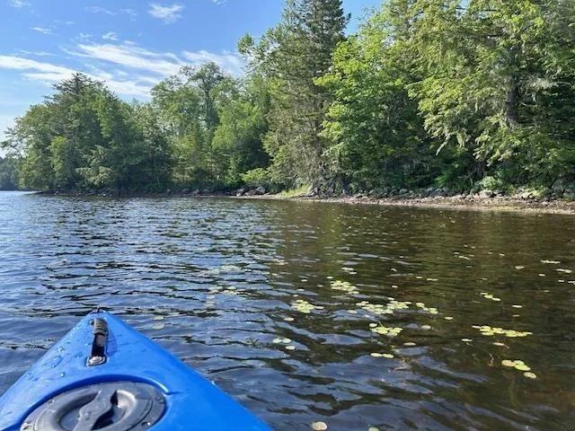 Arenburg Road Lot 4, Waterloo Ns B4v 8m5, ,Land,For Sale,Arenburg,202414645