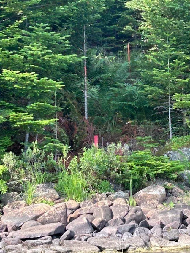 Arenburg Road Lot 4, Waterloo Ns B4v 8m5, ,Land,For Sale,Arenburg,202414645