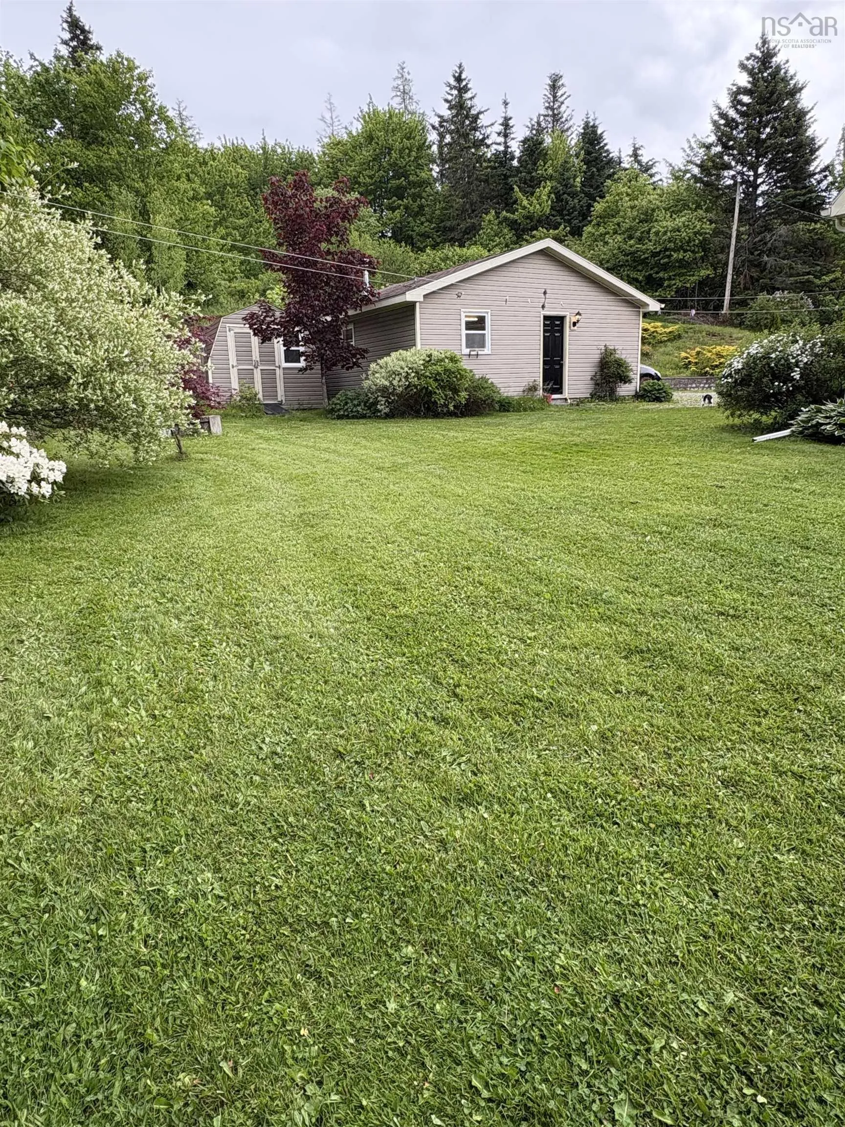 3931 Highway 4, Cleveland, NS B0E 1J0, 3 Bedrooms Bedrooms, ,2 BathroomsBathrooms,Residential,For Sale,Highway 4,202514495