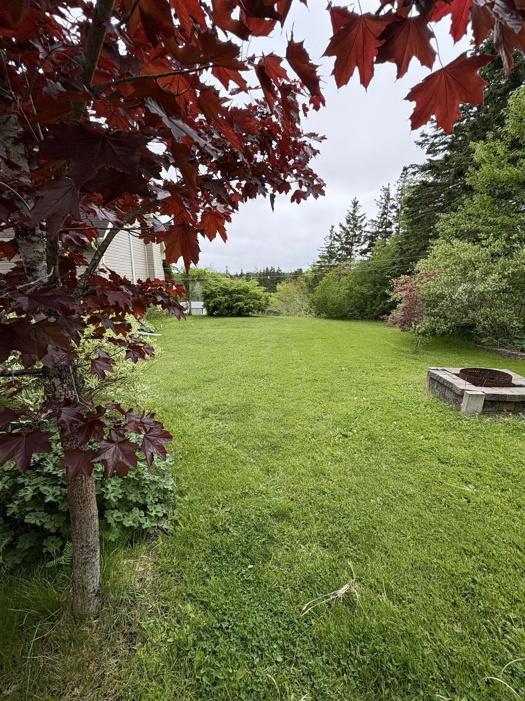 3931 Highway 4, Cleveland, NS B0E 1J0, 3 Bedrooms Bedrooms, ,2 BathroomsBathrooms,Residential,For Sale,Highway 4,202514495