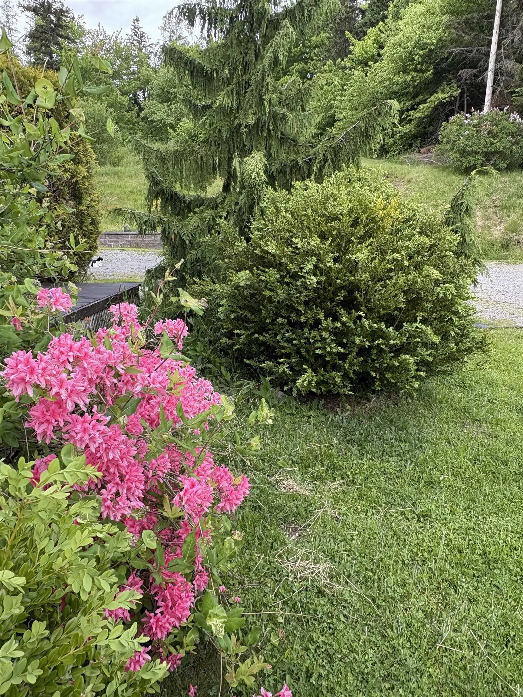3931 Highway 4, Cleveland, NS B0E 1J0, 3 Bedrooms Bedrooms, ,2 BathroomsBathrooms,Residential,For Sale,Highway 4,202514495