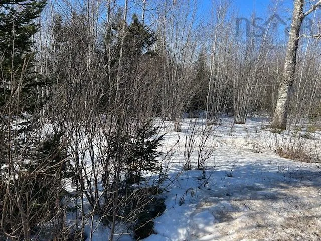 Greenfield Road, Mosherville Ns B0n 2g0, ,Land,For Sale,Greenfield,202504221
