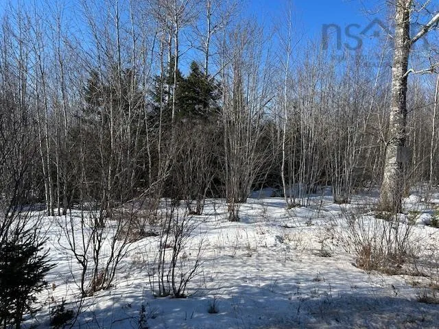 Greenfield Road, Mosherville Ns B0n 2g0, ,Land,For Sale,Greenfield,202504221