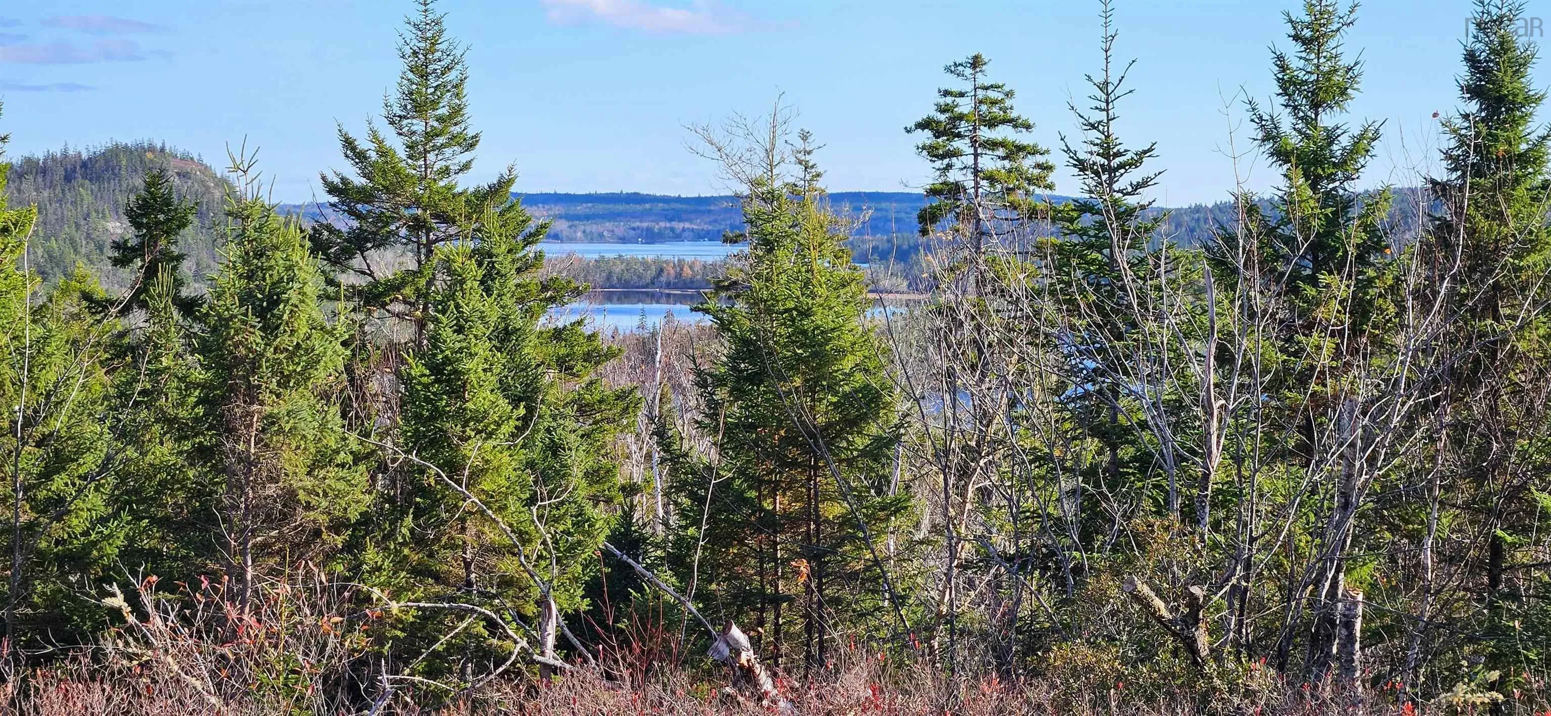 Grant 21937 Soles Stillwater, East Chezzetcook Ns B0b 0b0, ,Land,For Sale,Soles Stillwater,202422767
