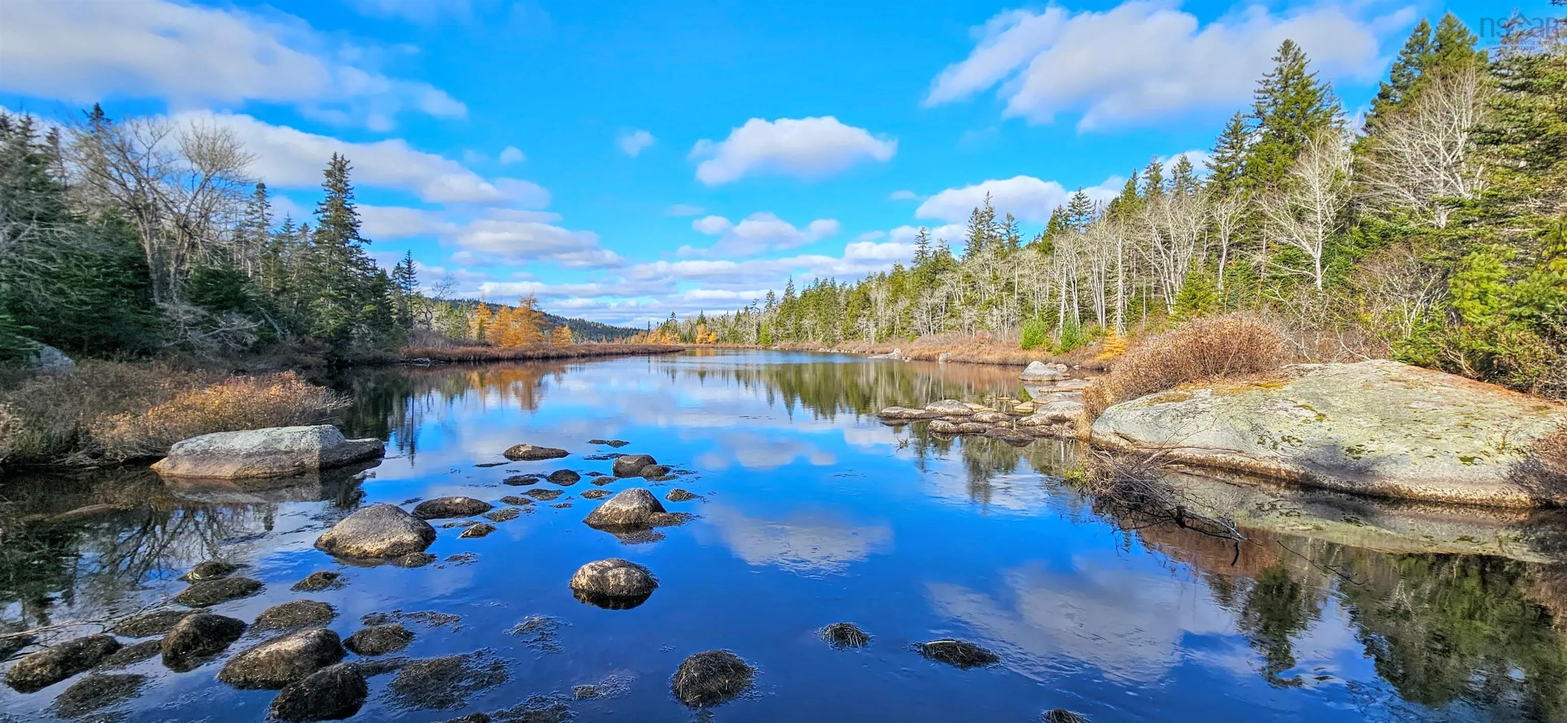 Grant 21937 Soles Stillwater, East Chezzetcook Ns B0b 0b0, ,Land,For Sale,Soles Stillwater,202422767