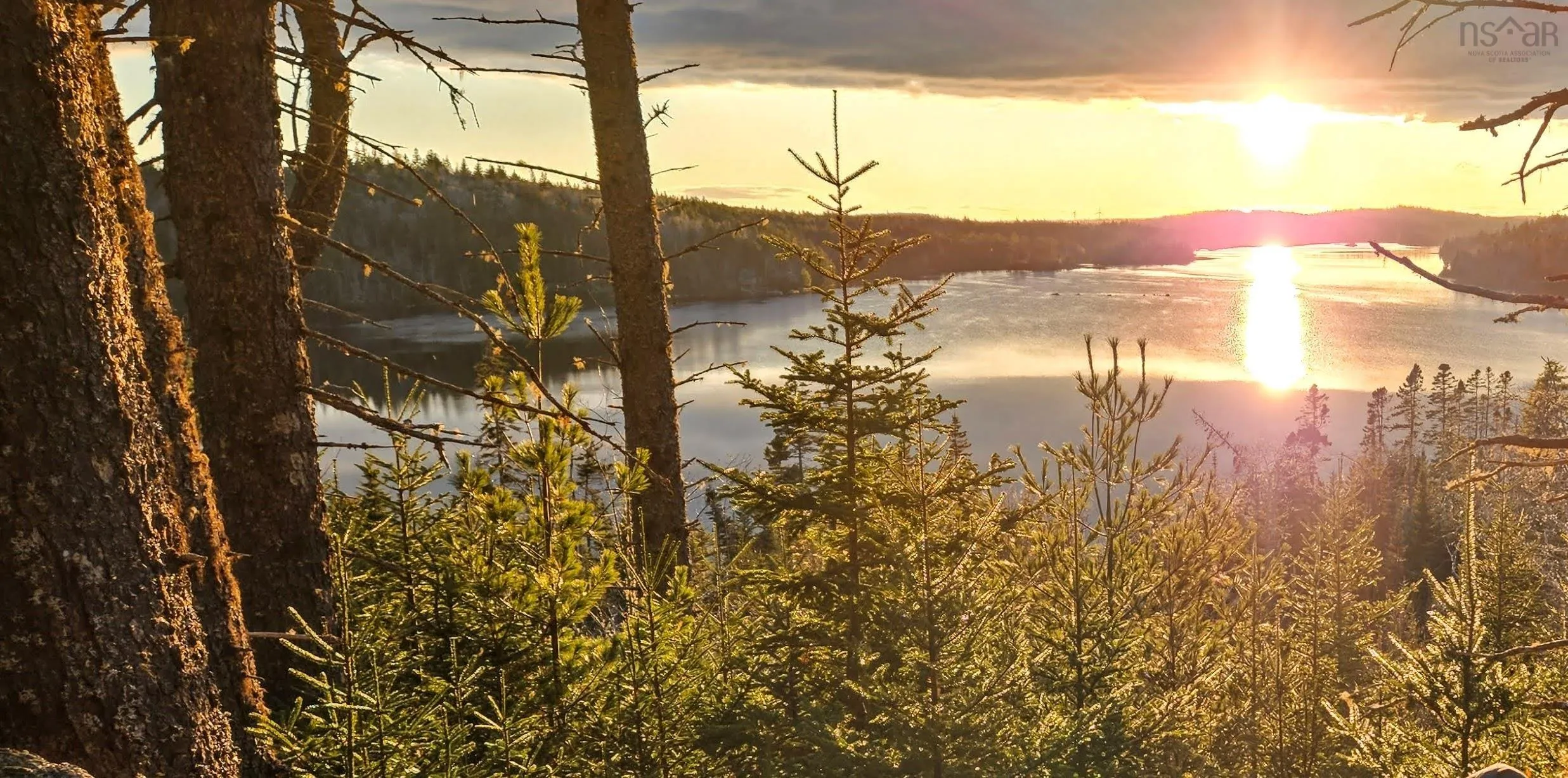 Grant 21937 Soles Stillwater, East Chezzetcook Ns B0b 0b0, ,Land,For Sale,Soles Stillwater,202422767