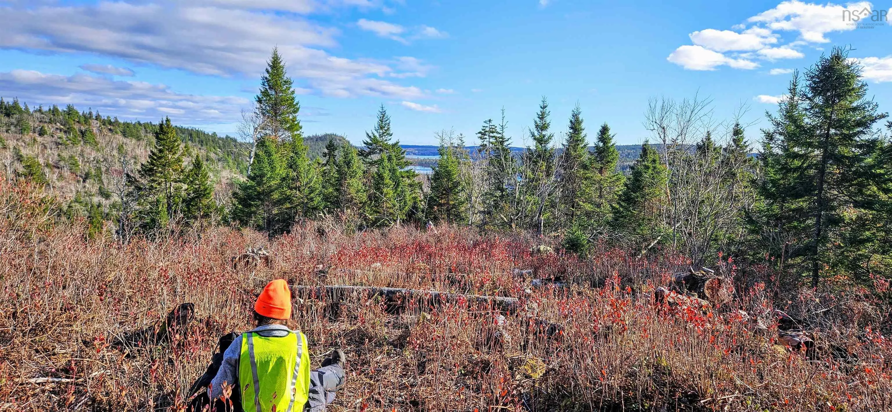 Grant 21937 Soles Stillwater, East Chezzetcook Ns B0b 0b0, ,Land,For Sale,Soles Stillwater,202422767