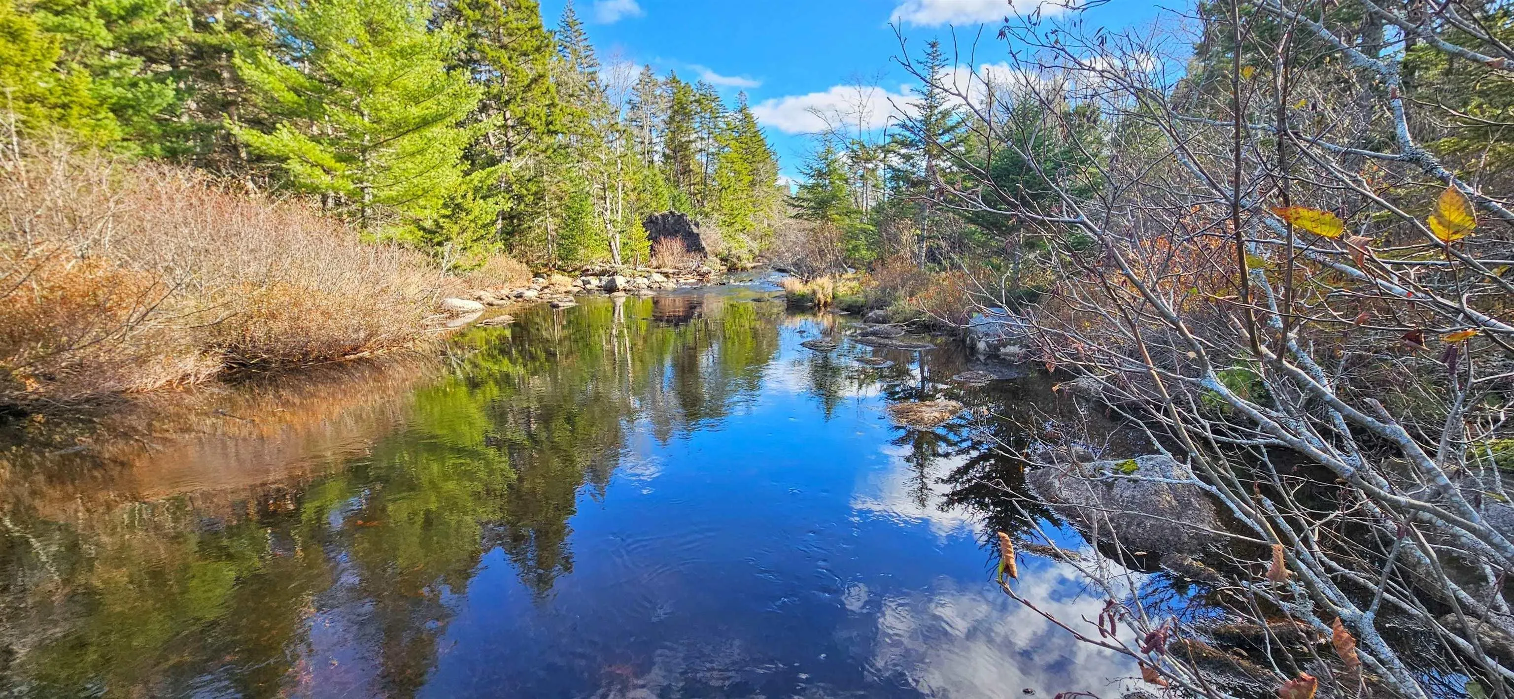 Grant 21937 Soles Stillwater, East Chezzetcook Ns B0b 0b0, ,Land,For Sale,Soles Stillwater,202422767