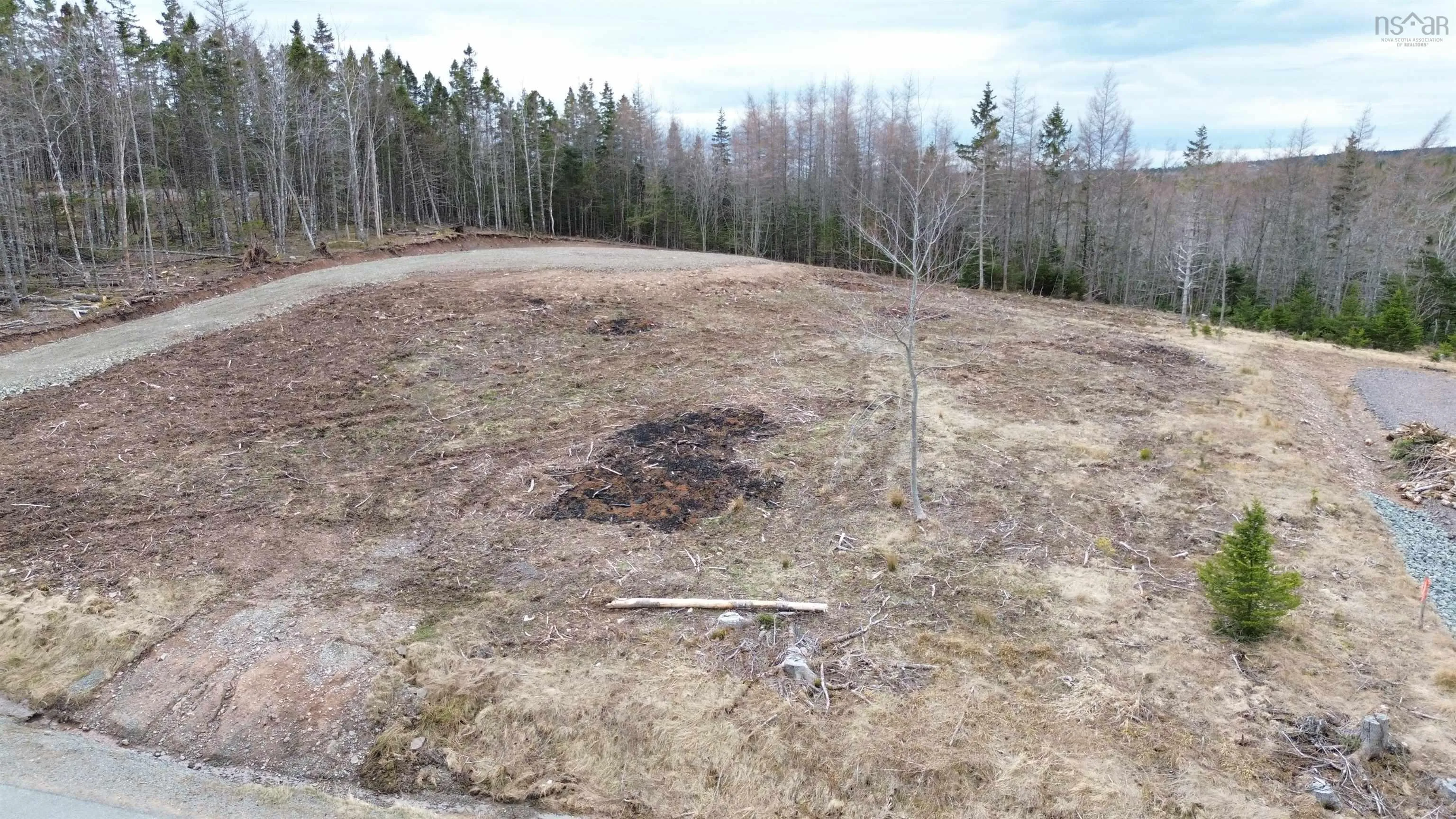 Lot 3 French Cove Road, French Cove, NS B0E 3B0, ,Land,For Sale,French Cove,202501821