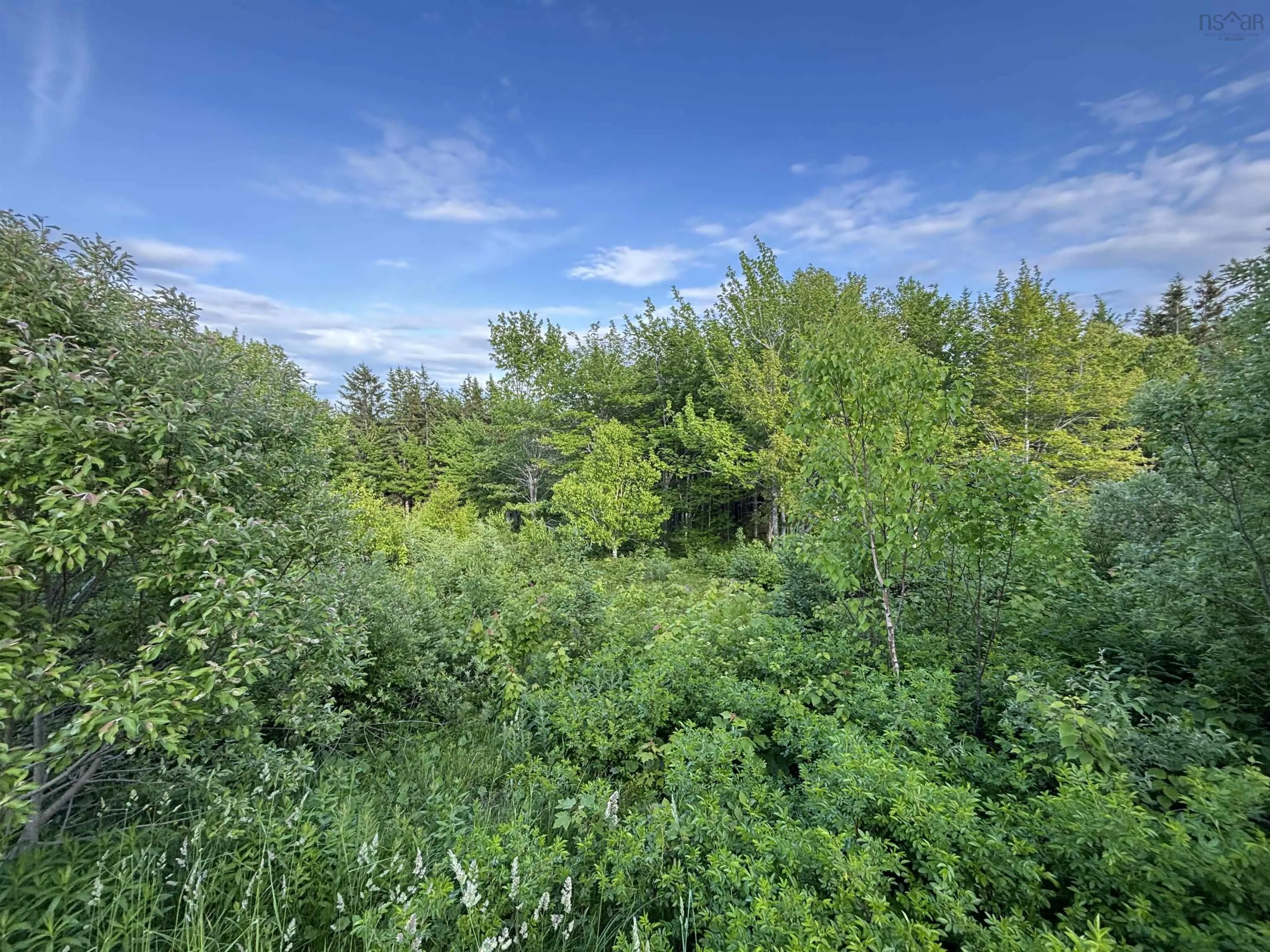 Parkland Place, Dalem Lake, NS B1Y 2X9, ,Land,For Sale,Parkland,202520774