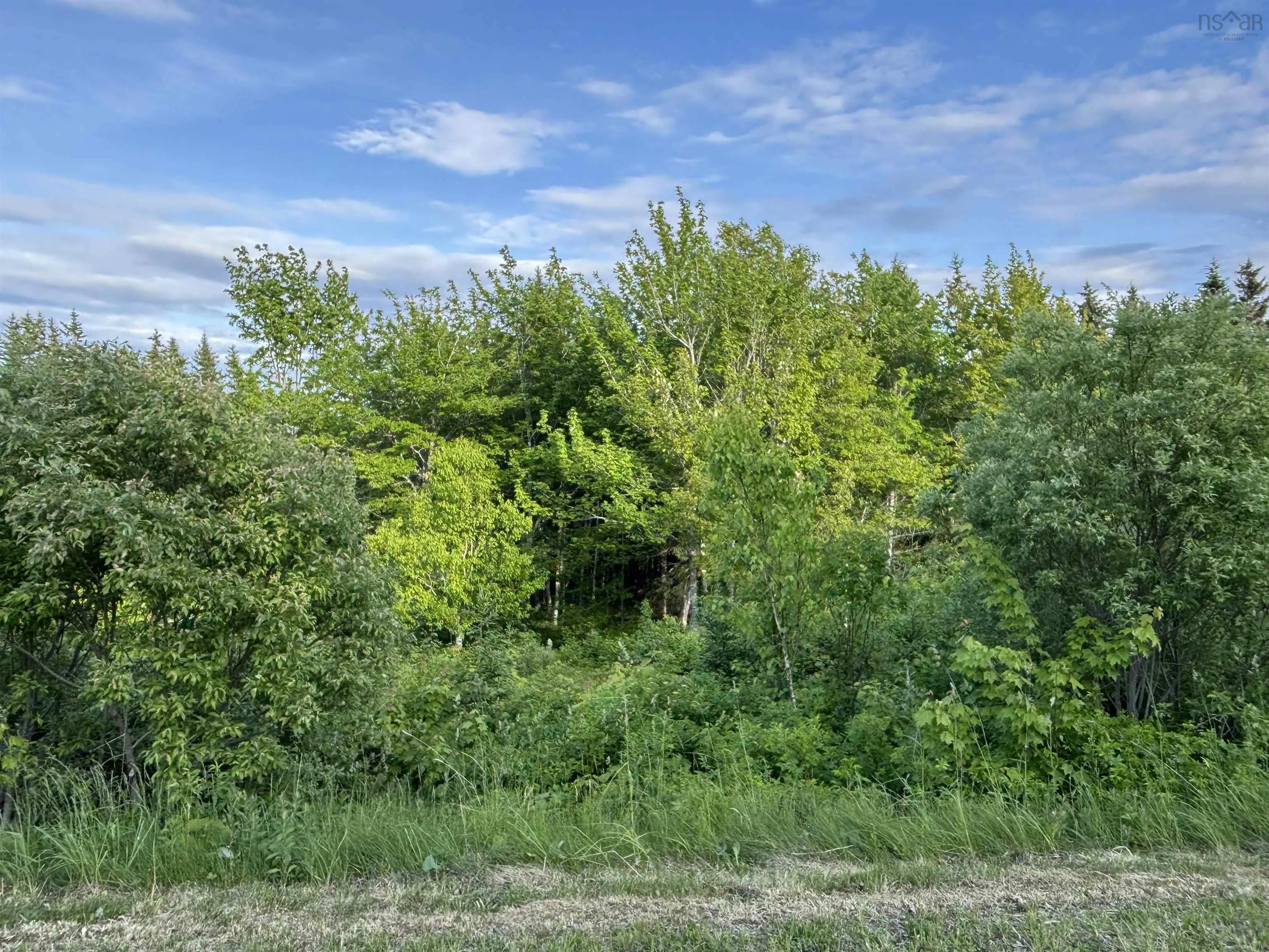 Parkland Place, Dalem Lake, NS B1Y 2X9, ,Land,For Sale,Parkland,202520774