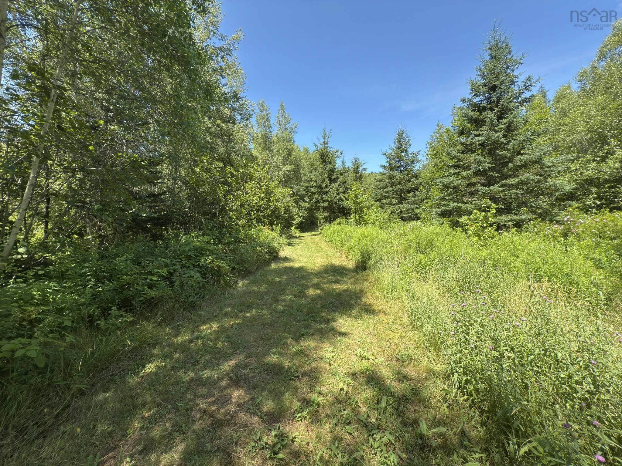277 Clarence Road, Beaconsfield, NS B0S 1C0, 3 Bedrooms Bedrooms, ,1 BathroomBathrooms,Residential,For Sale,Clarence,202517301