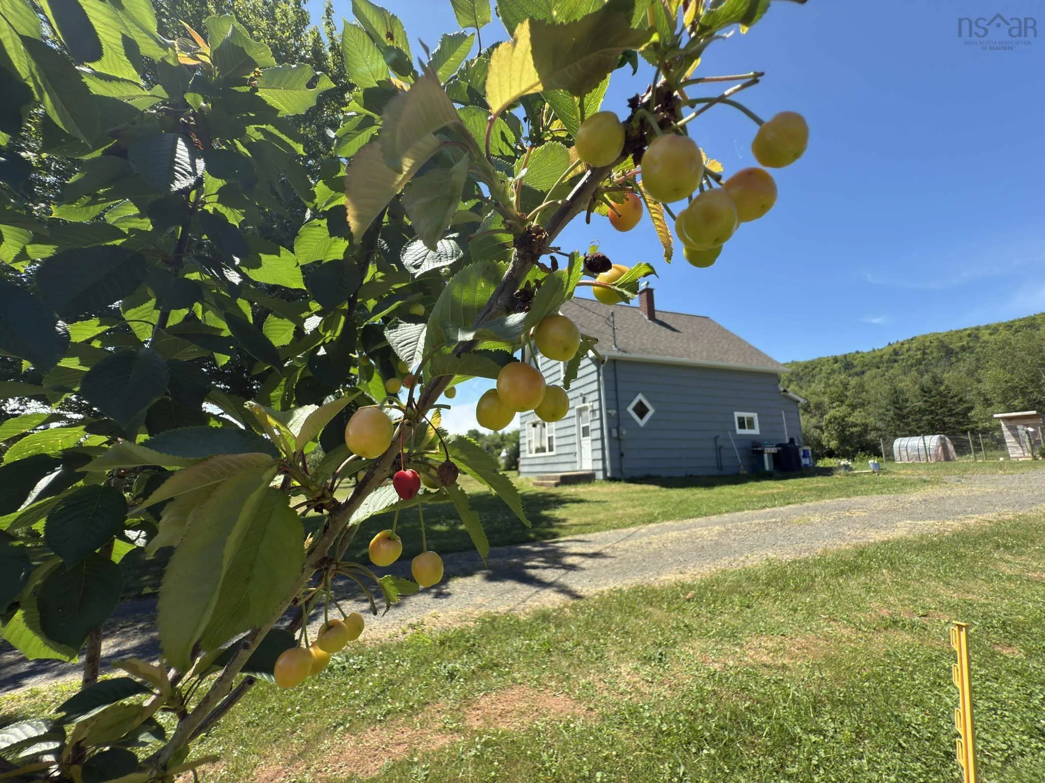 277 Clarence Road, Beaconsfield, NS B0S 1C0, 3 Bedrooms Bedrooms, ,1 BathroomBathrooms,Residential,For Sale,Clarence,202517301