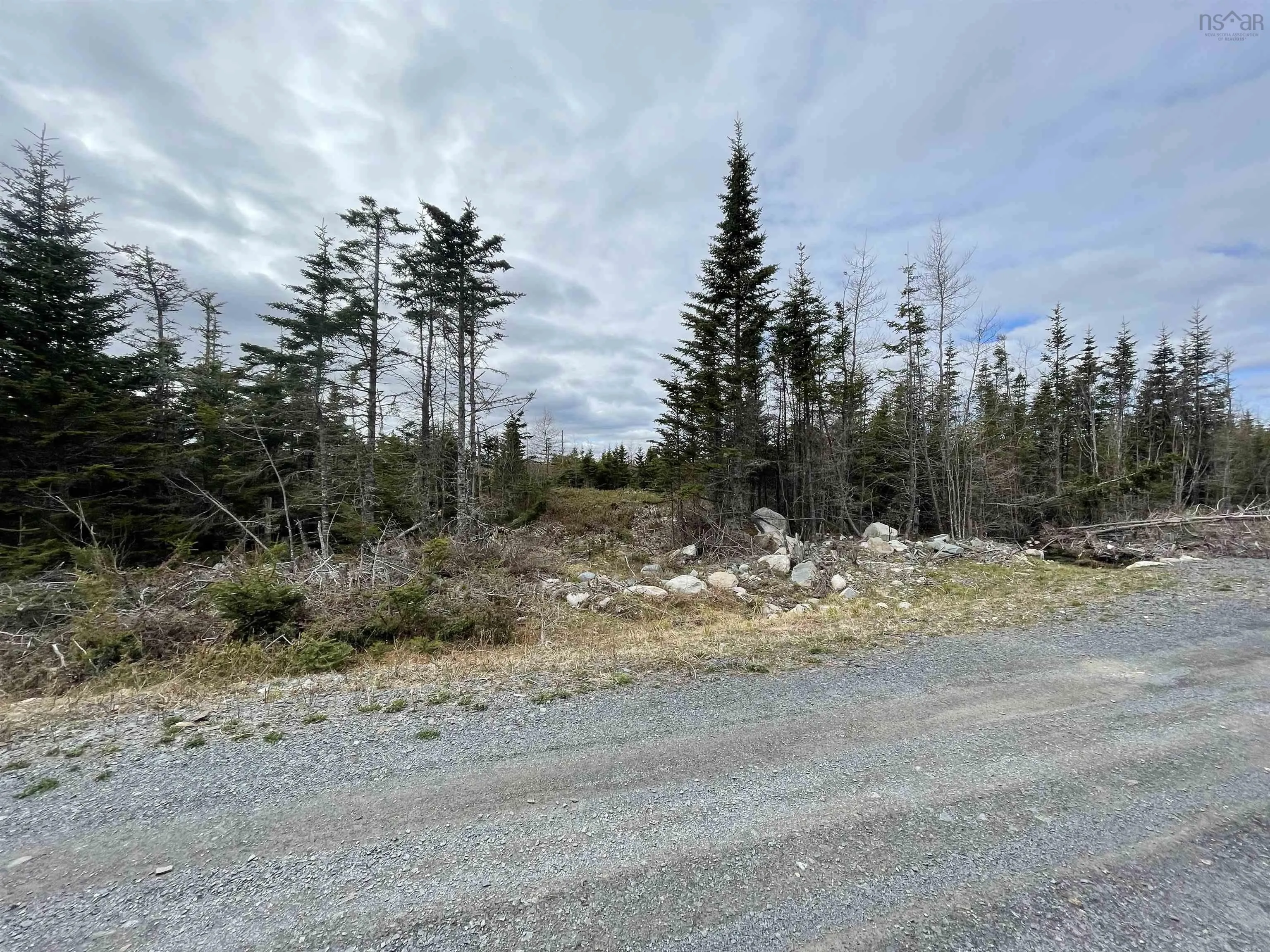 143-19 Lipkudamoonk Path, Clam Bay Ns B0j 1y0, ,Land,For Sale,Lipkudamoonk Path,202428060