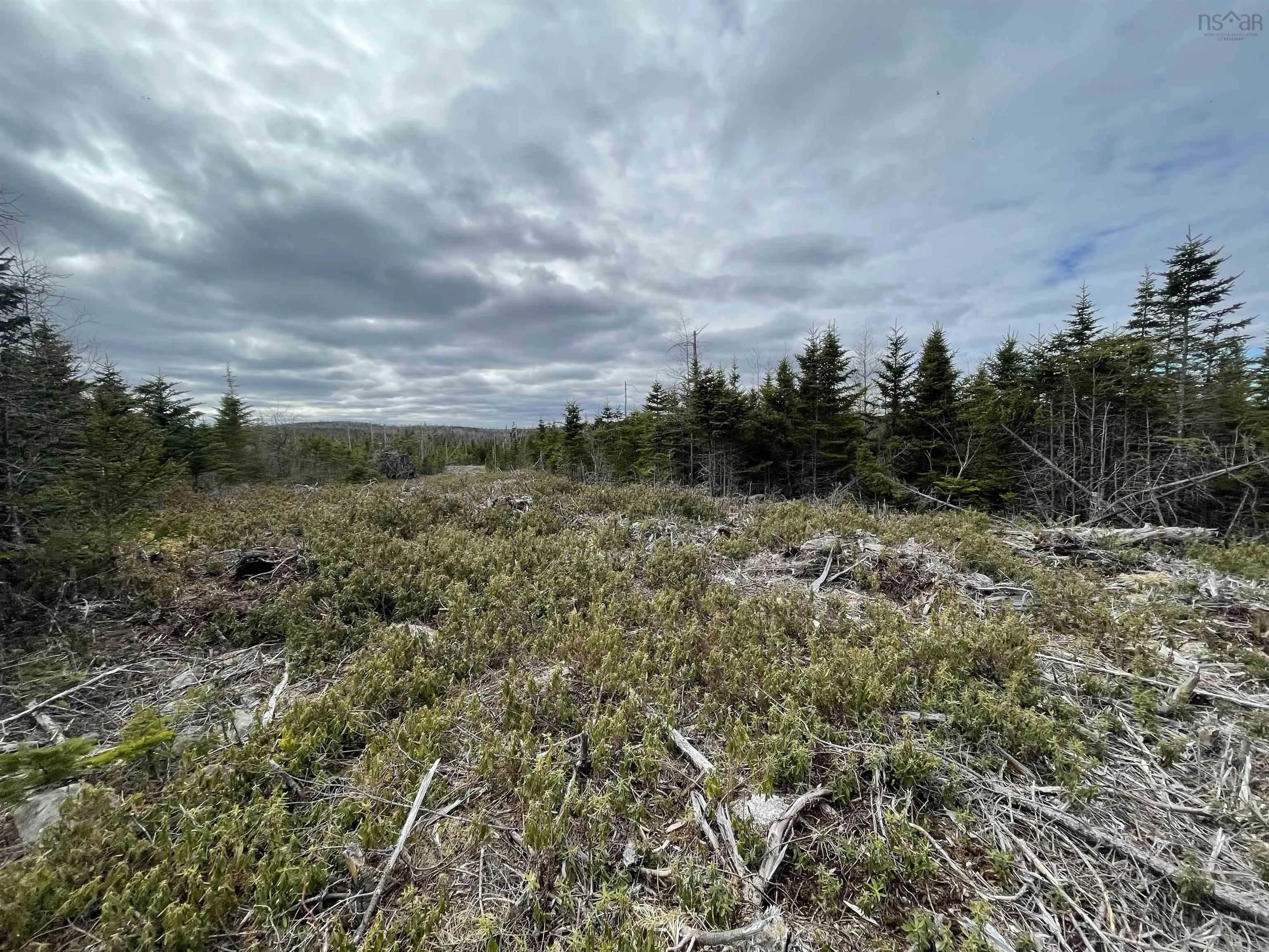 143-19 Lipkudamoonk Path, Clam Bay Ns B0j 1y0, ,Land,For Sale,Lipkudamoonk Path,202428060