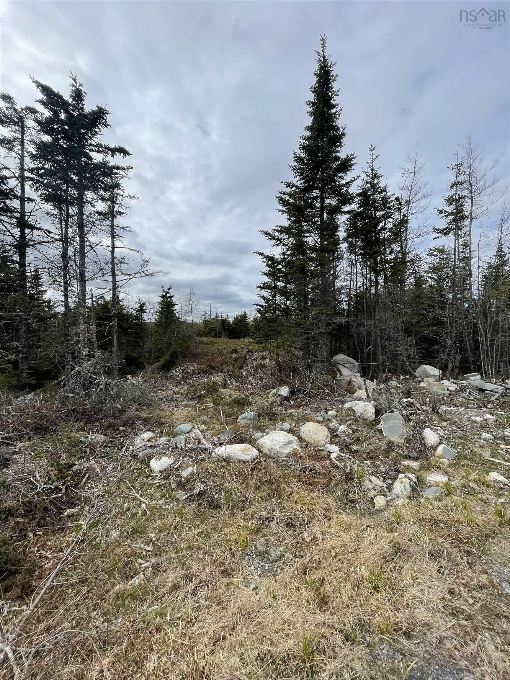 143-19 Lipkudamoonk Path, Clam Bay Ns B0j 1y0, ,Land,For Sale,Lipkudamoonk Path,202428060