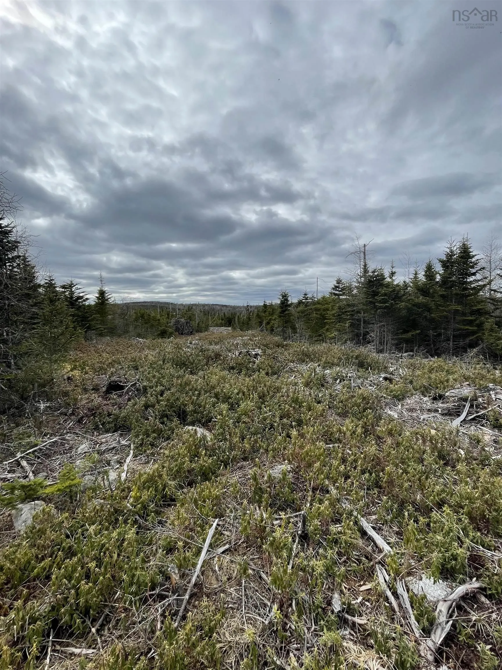 143-19 Lipkudamoonk Path, Clam Bay Ns B0j 1y0, ,Land,For Sale,Lipkudamoonk Path,202428060