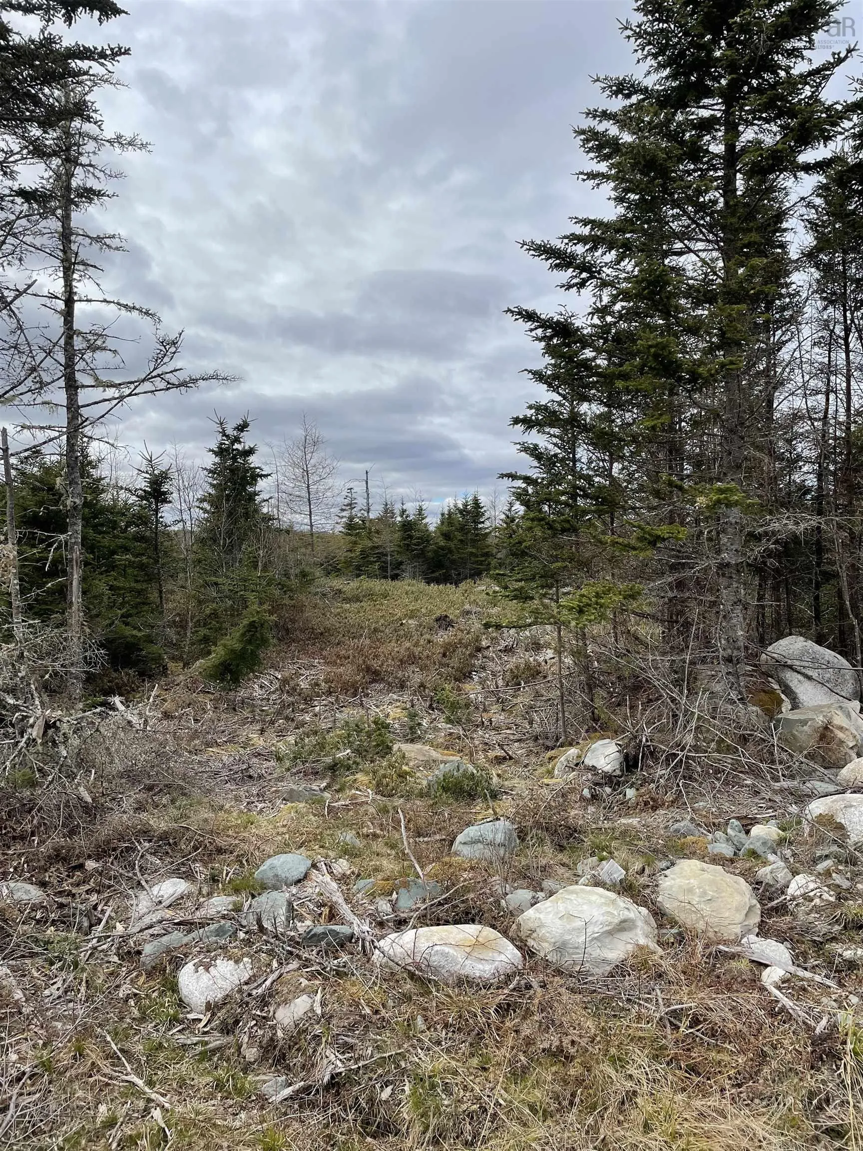 143-19 Lipkudamoonk Path, Clam Bay Ns B0j 1y0, ,Land,For Sale,Lipkudamoonk Path,202428060