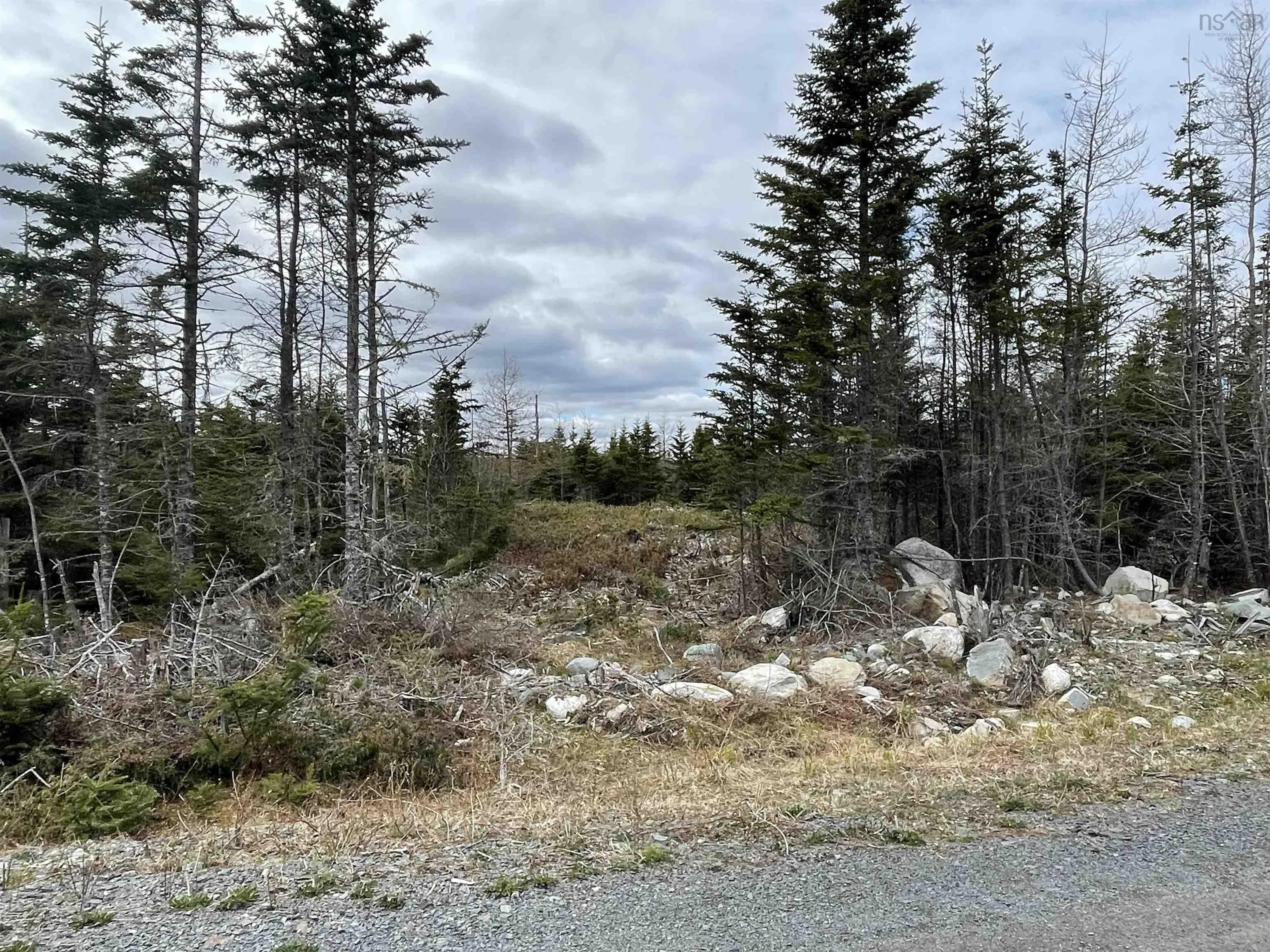 143-19 Lipkudamoonk Path, Clam Bay Ns B0j 1y0, ,Land,For Sale,Lipkudamoonk Path,202428060