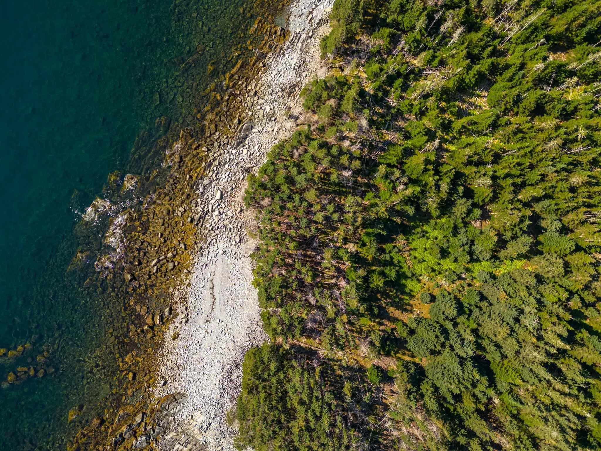 Big Tancook Island Road, Big Tancook Island Ns B0j 1j0, ,Land,For Sale,Big Tancook Island,202420679