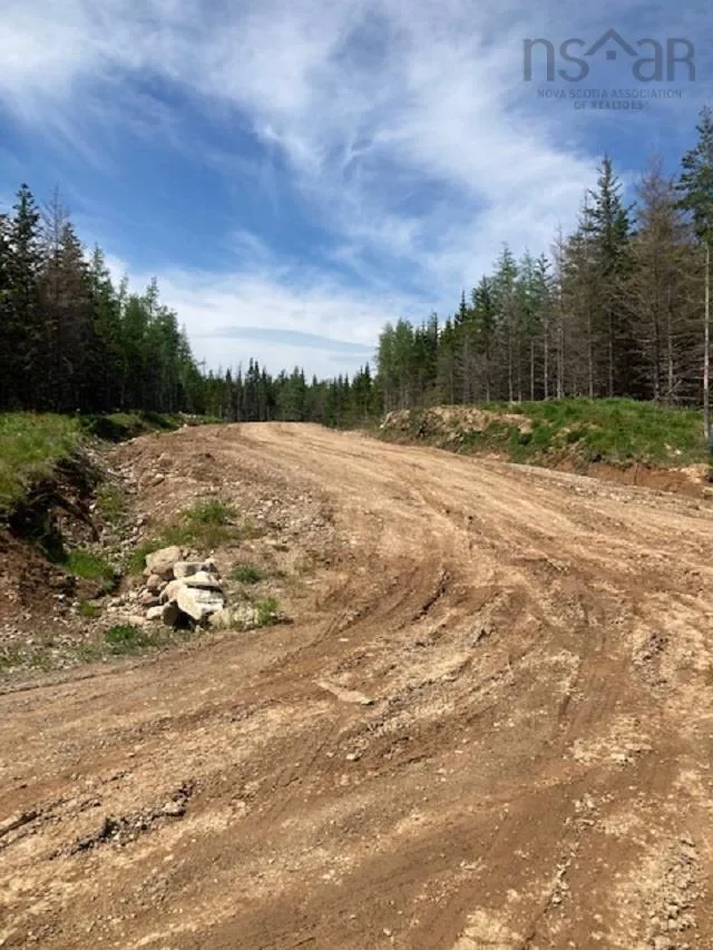 Salem Road, Enon Ns B1j 1w2, ,Land,For Sale,Salem,202202723