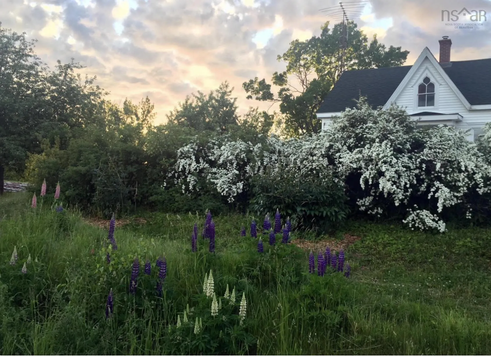 5211 Brooklyn Street, Grafton, NS B0P 1E0, 4 Bedrooms Bedrooms, ,2 BathroomsBathrooms,Residential,For Sale,Brooklyn,202521571