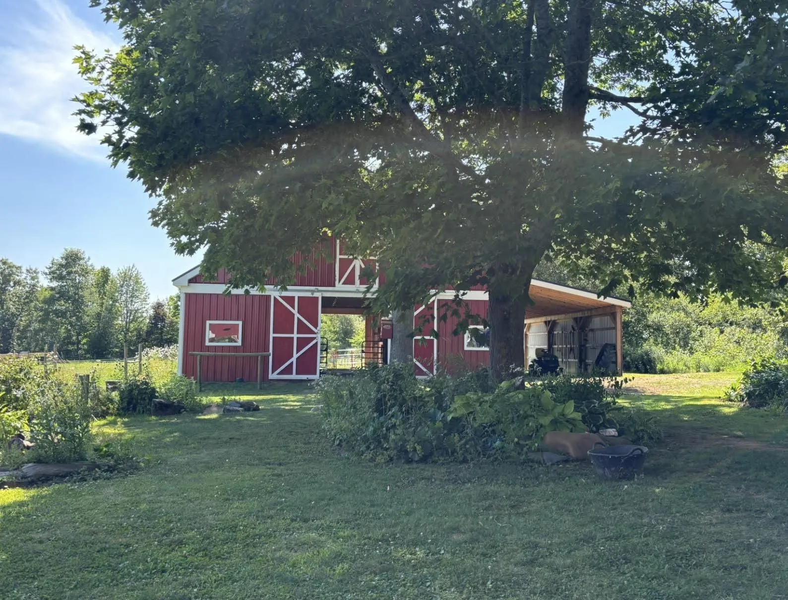 5211 Brooklyn Street, Grafton, NS B0P 1E0, 4 Bedrooms Bedrooms, ,2 BathroomsBathrooms,Residential,For Sale,Brooklyn,202521571
