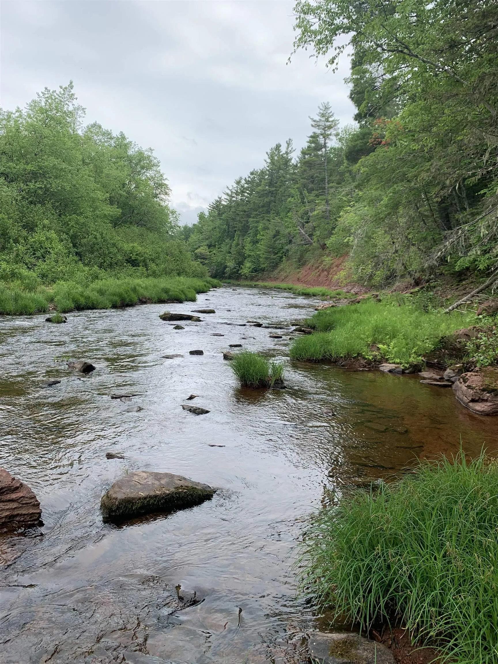 Lot 4b Hunter Road, Wentworth Valley, NS B0M 1Z0, ,Land,For Sale,Hunter,202521316