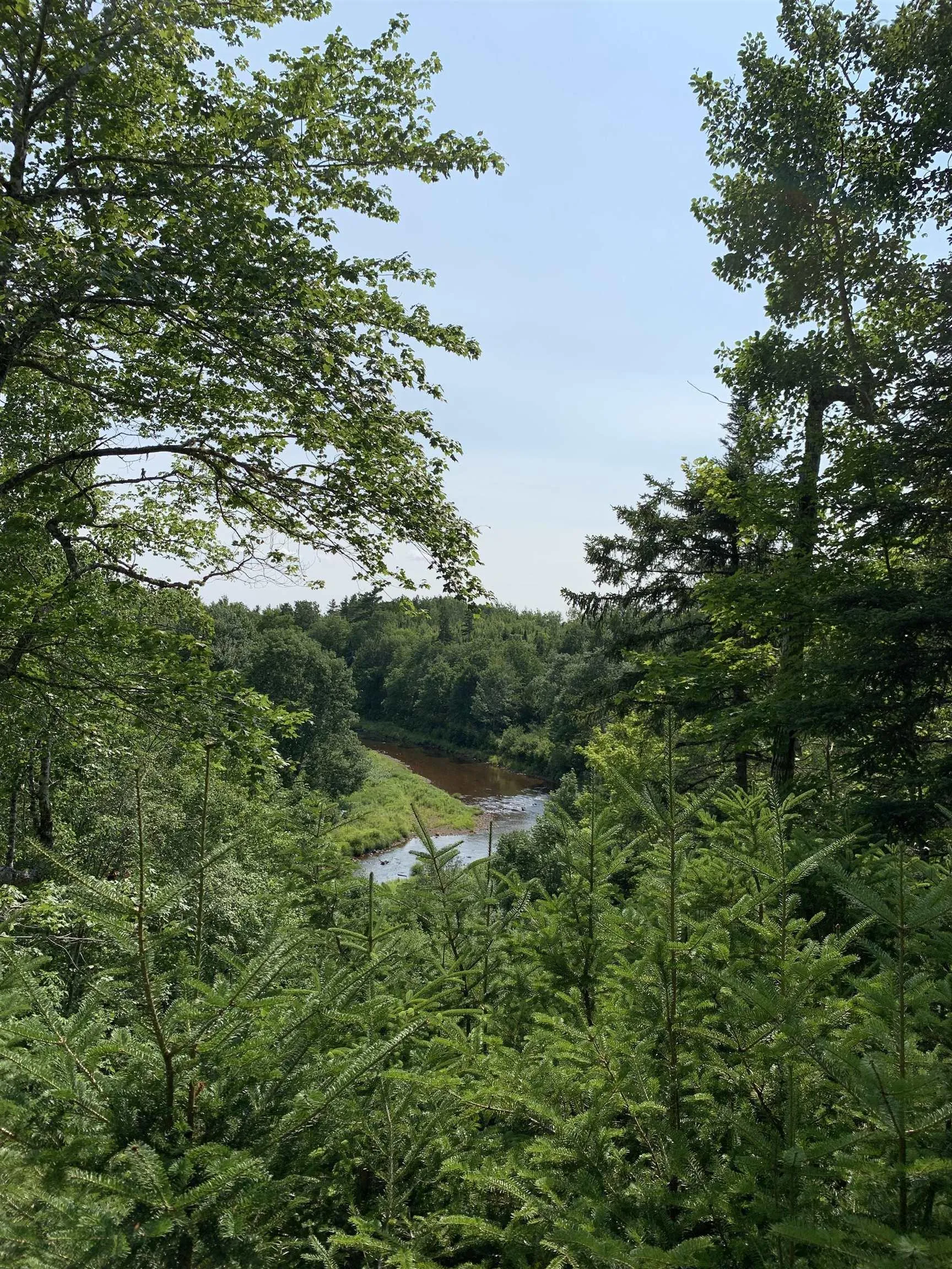 Lot 4b Hunter Road, Wentworth Valley, NS B0M 1Z0, ,Land,For Sale,Hunter,202521316