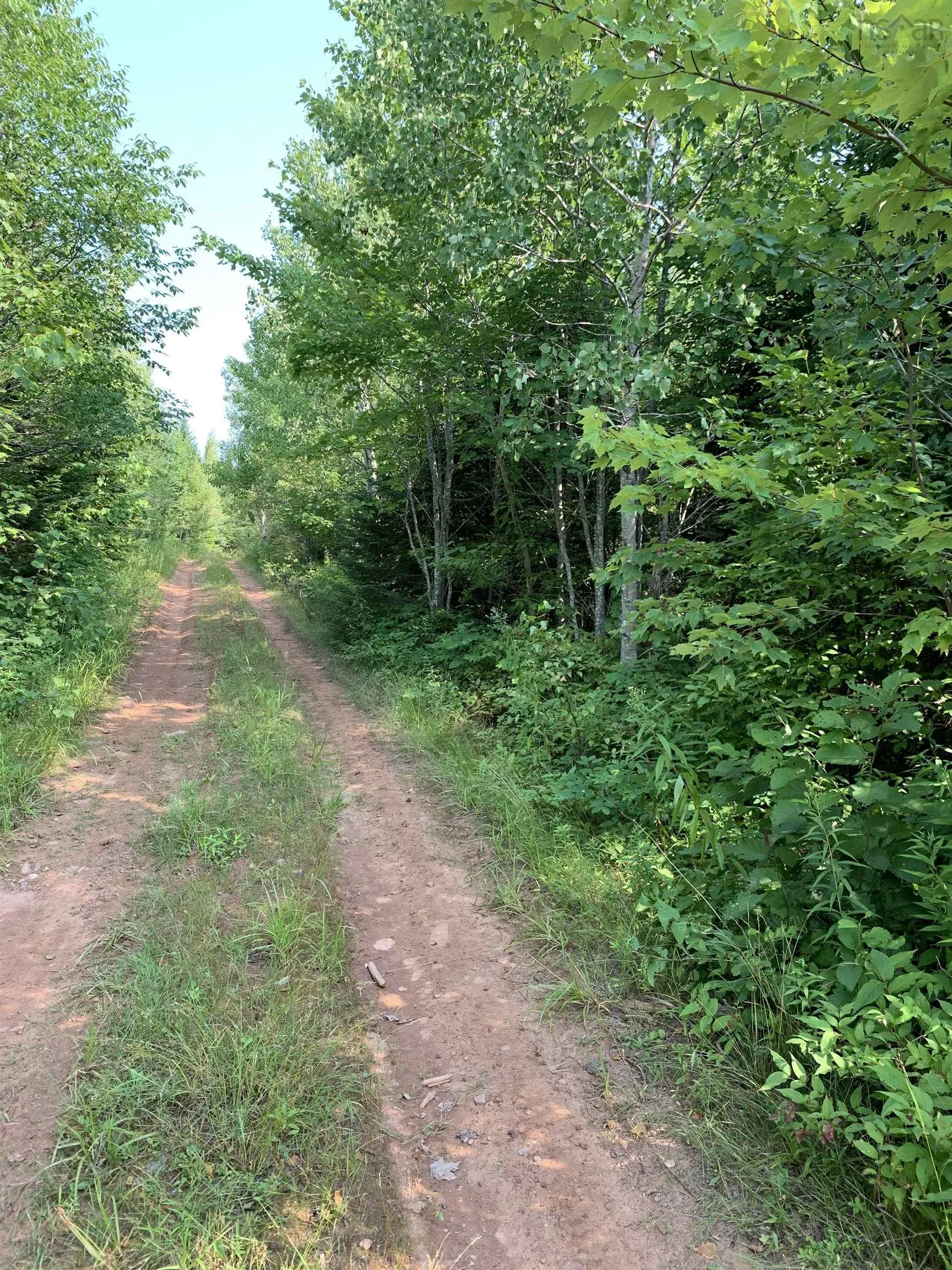 Lot 4b Hunter Road, Wentworth Valley, NS B0M 1Z0, ,Land,For Sale,Hunter,202521316