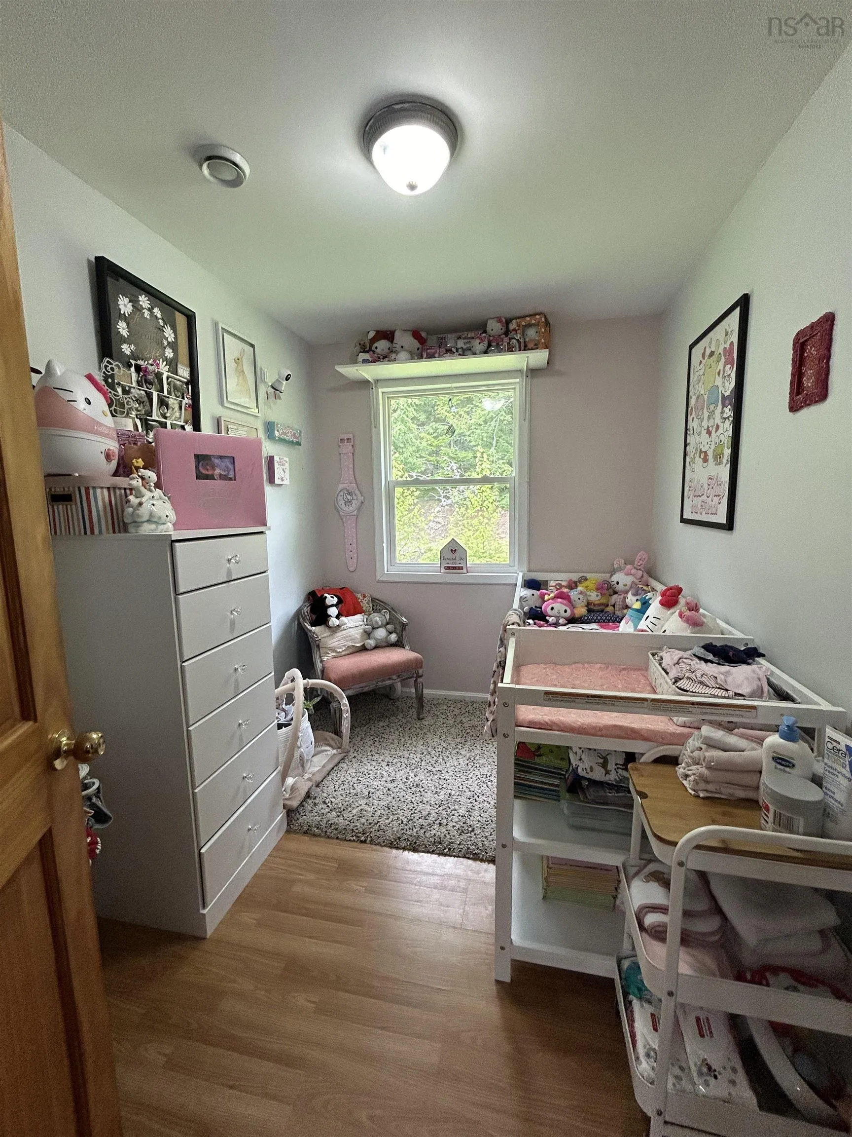 248 Balmoral Road, West New Annan, NS B0K 1V0, 2 Bedrooms Bedrooms, ,1 BathroomBathrooms,Residential,For Sale,Balmoral,202512771