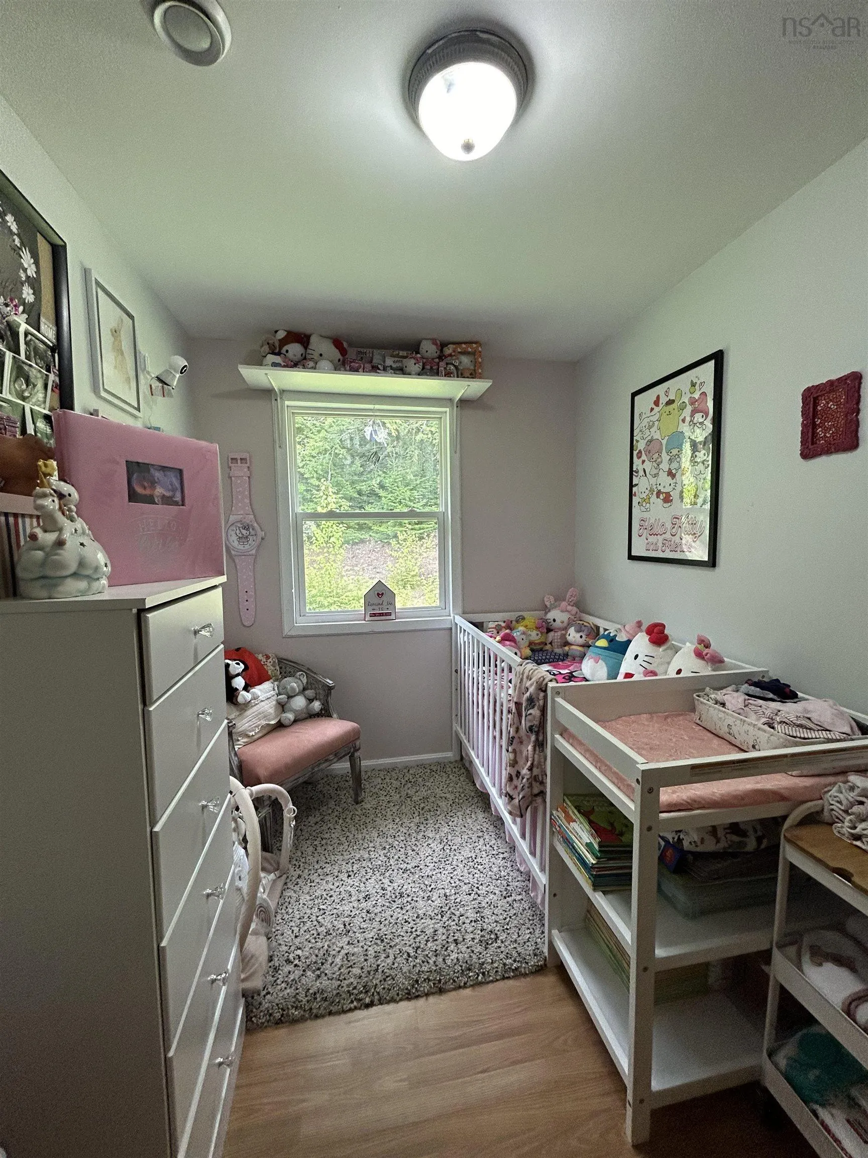 248 Balmoral Road, West New Annan, NS B0K 1V0, 2 Bedrooms Bedrooms, ,1 BathroomBathrooms,Residential,For Sale,Balmoral,202512771