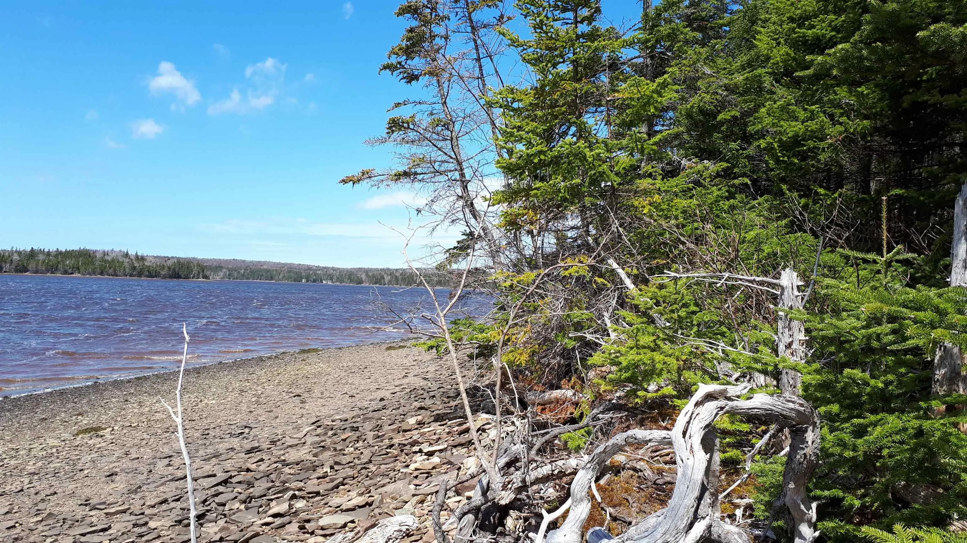 Evanston Rd, Evanston Ns B0e 1j0, ,Land,For Sale,Evanston Rd,202500146