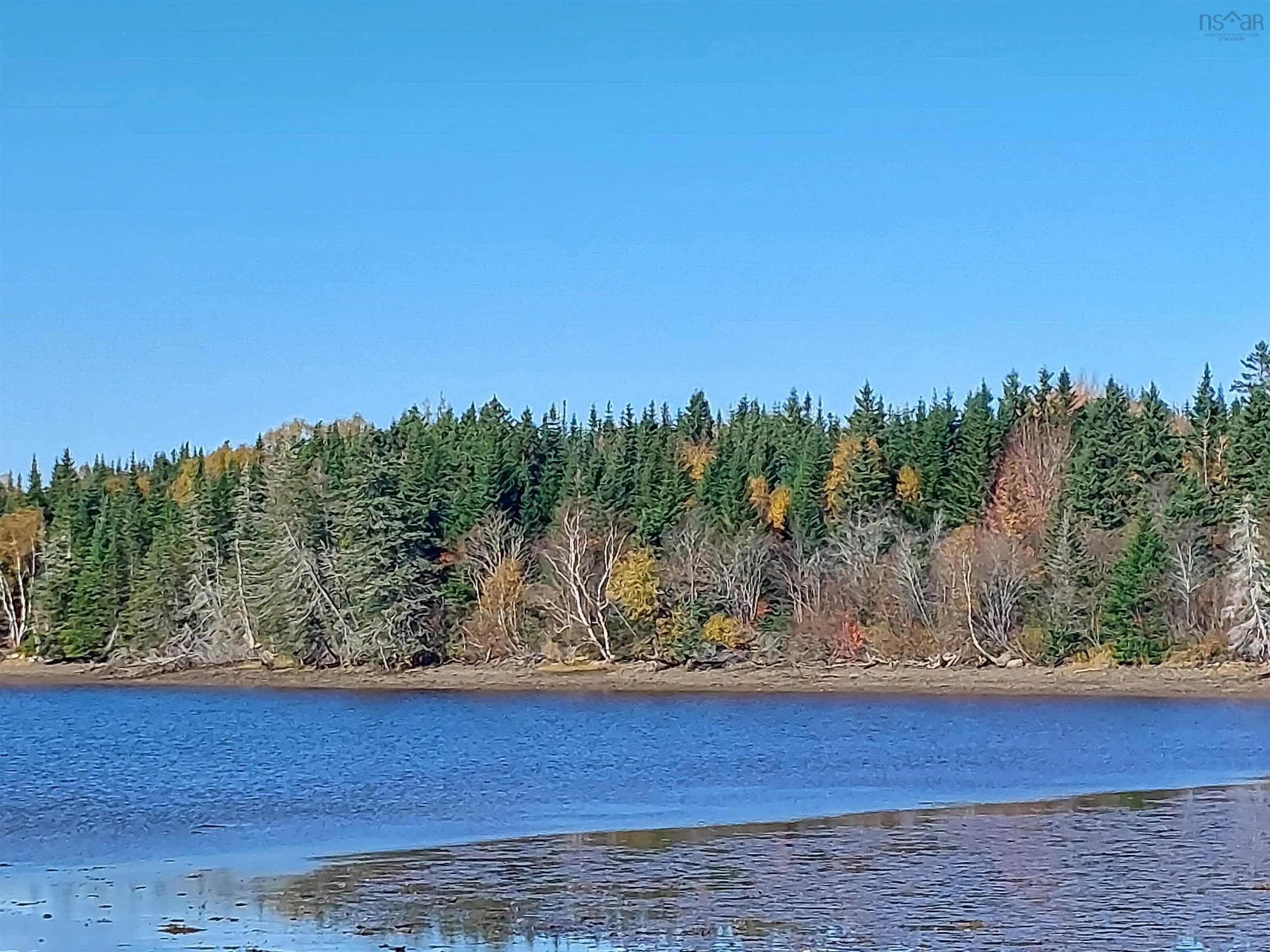 Evanston Rd, Evanston Ns B0e 1j0, ,Land,For Sale,Evanston Rd,202500146