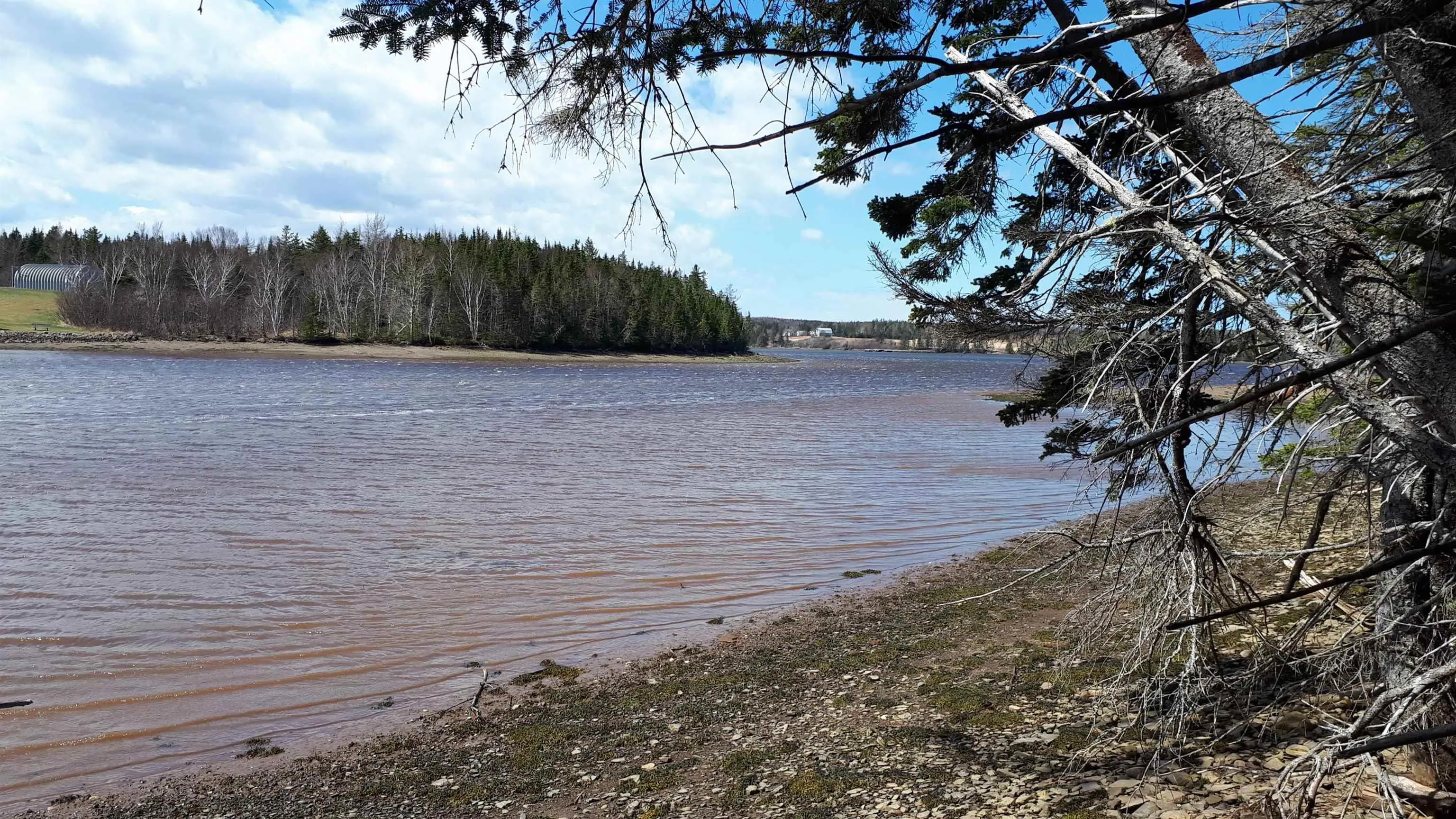 Evanston Rd, Evanston Ns B0e 1j0, ,Land,For Sale,Evanston Rd,202500146