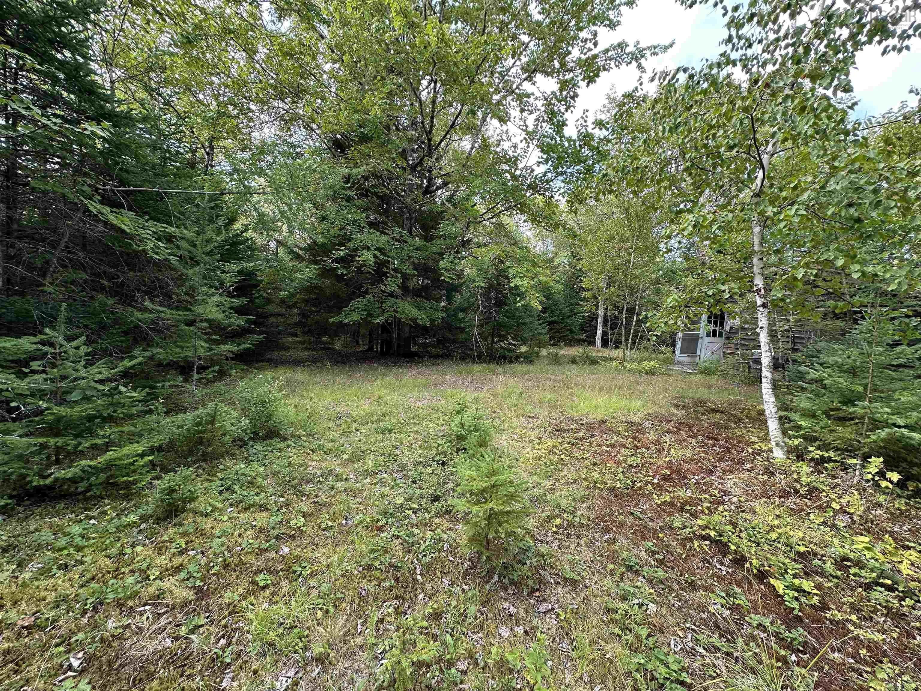 420 Malay Falls Lochaber Mines Road, Malay Falls, NS B0J 3B0, ,Land,For Sale,Malay Falls Lochaber Mines,202522088