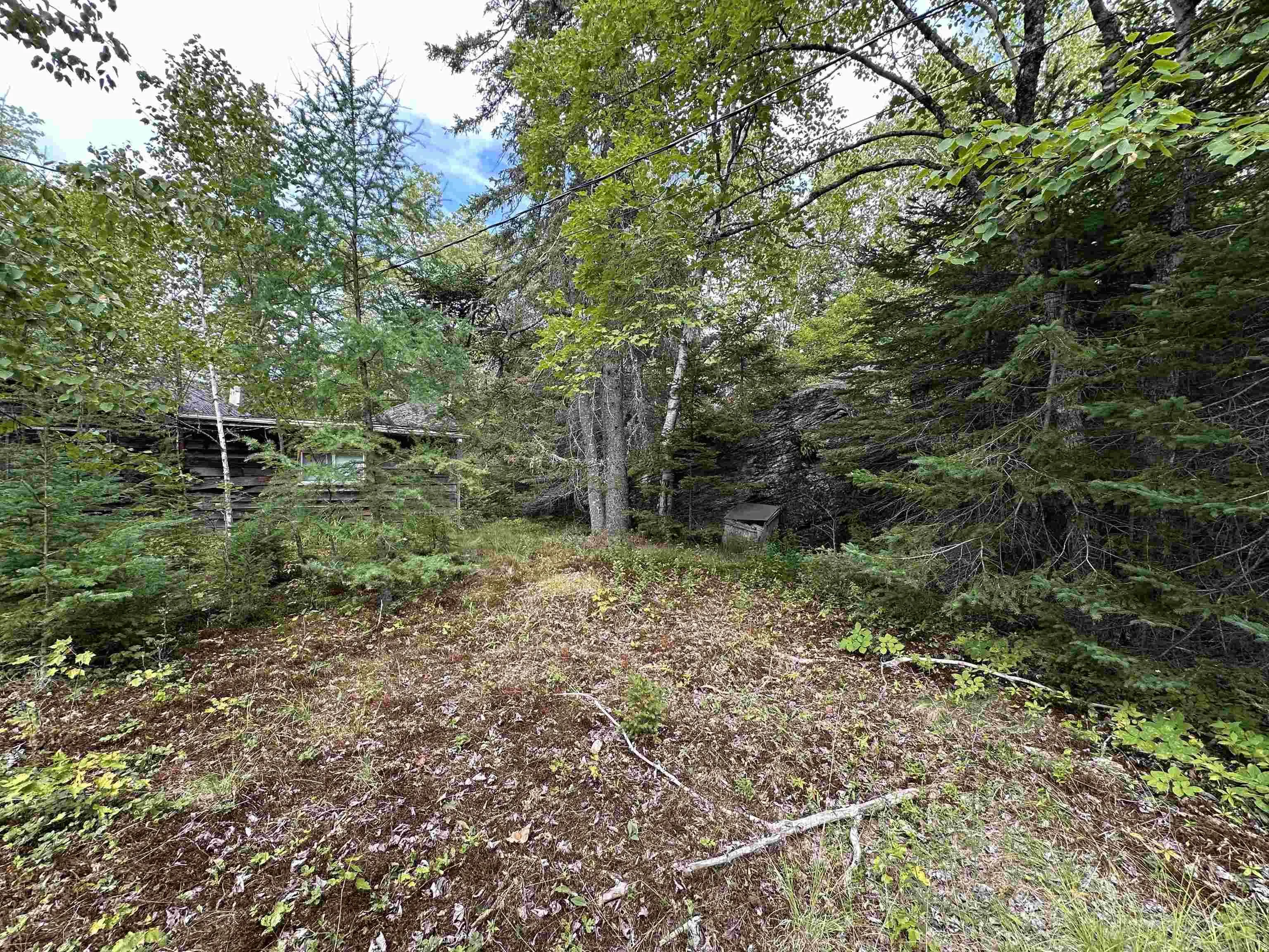 420 Malay Falls Lochaber Mines Road, Malay Falls, NS B0J 3B0, ,Land,For Sale,Malay Falls Lochaber Mines,202522088