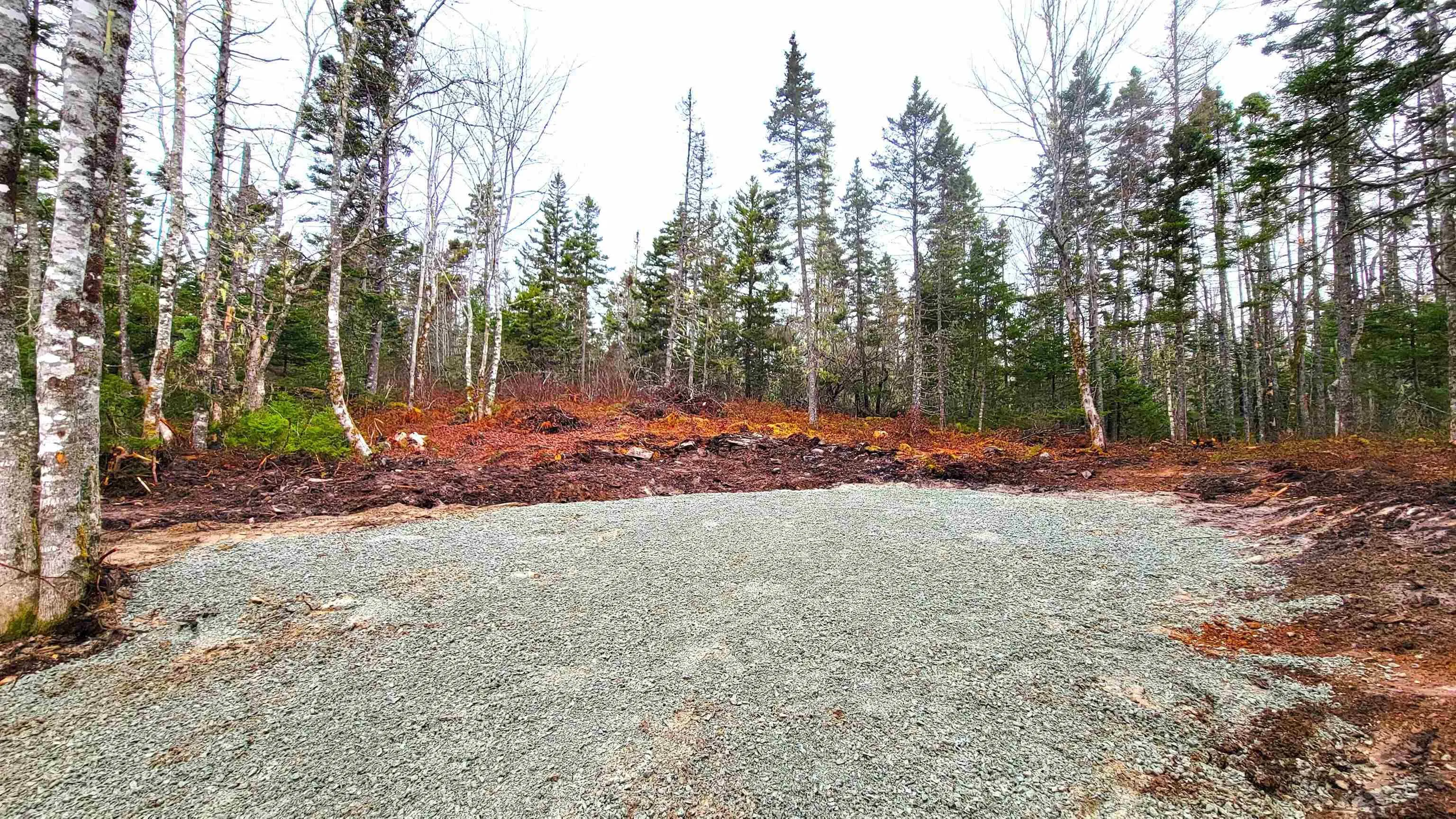 92 Broad River Road, Summerville Centre Ns B0t 1t0, ,Land,For Sale,Broad River Road,202506964