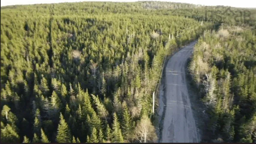 Lot 3 Pyes Head Road, Liscomb Ns B0j 2g0, ,Land,For Sale,Pyes Head,202323502