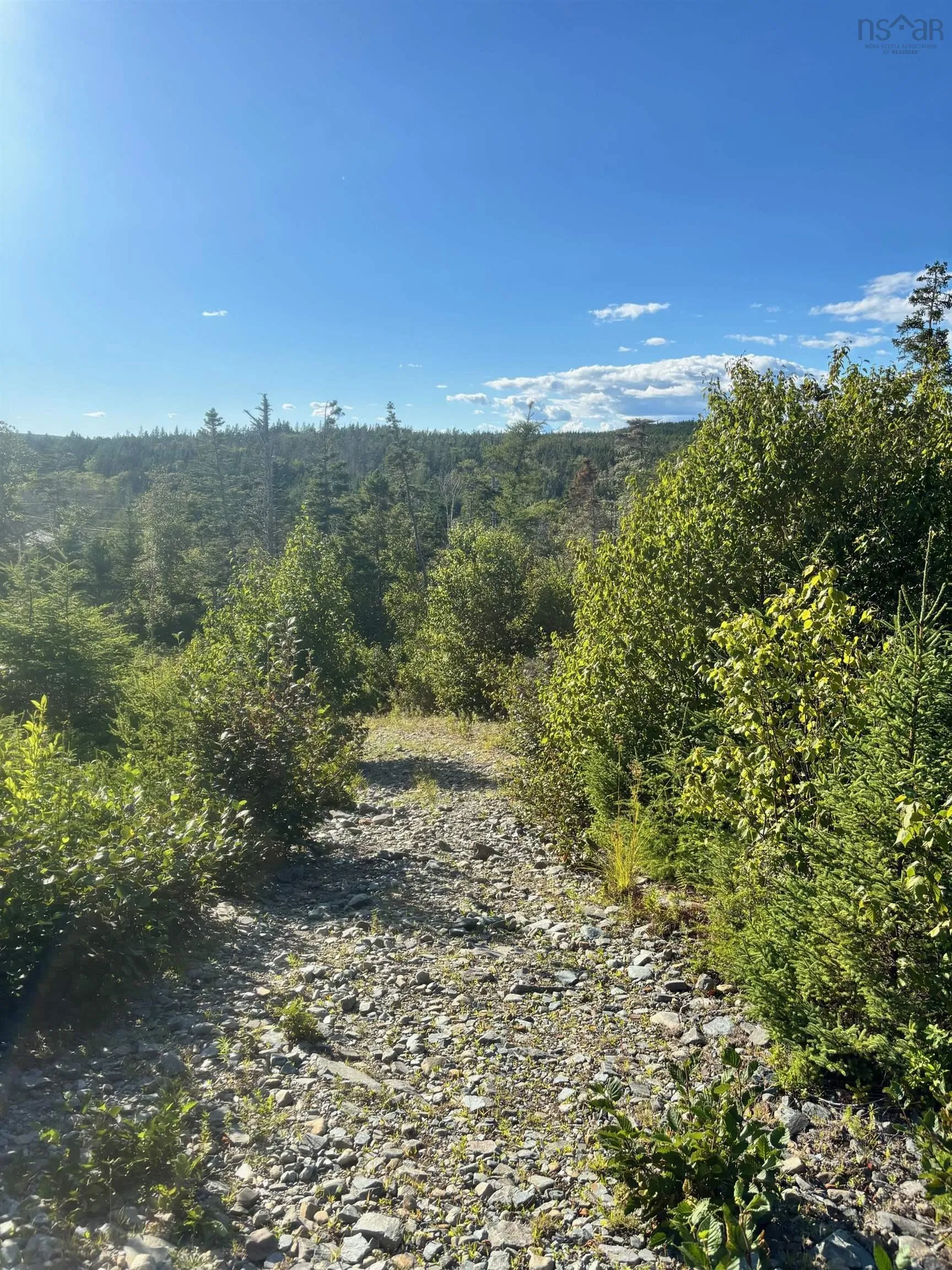 Highway 7 Lot 2, Port Dufferin, NS B0J 2R0, ,Land,For Sale,Highway 7,202523230