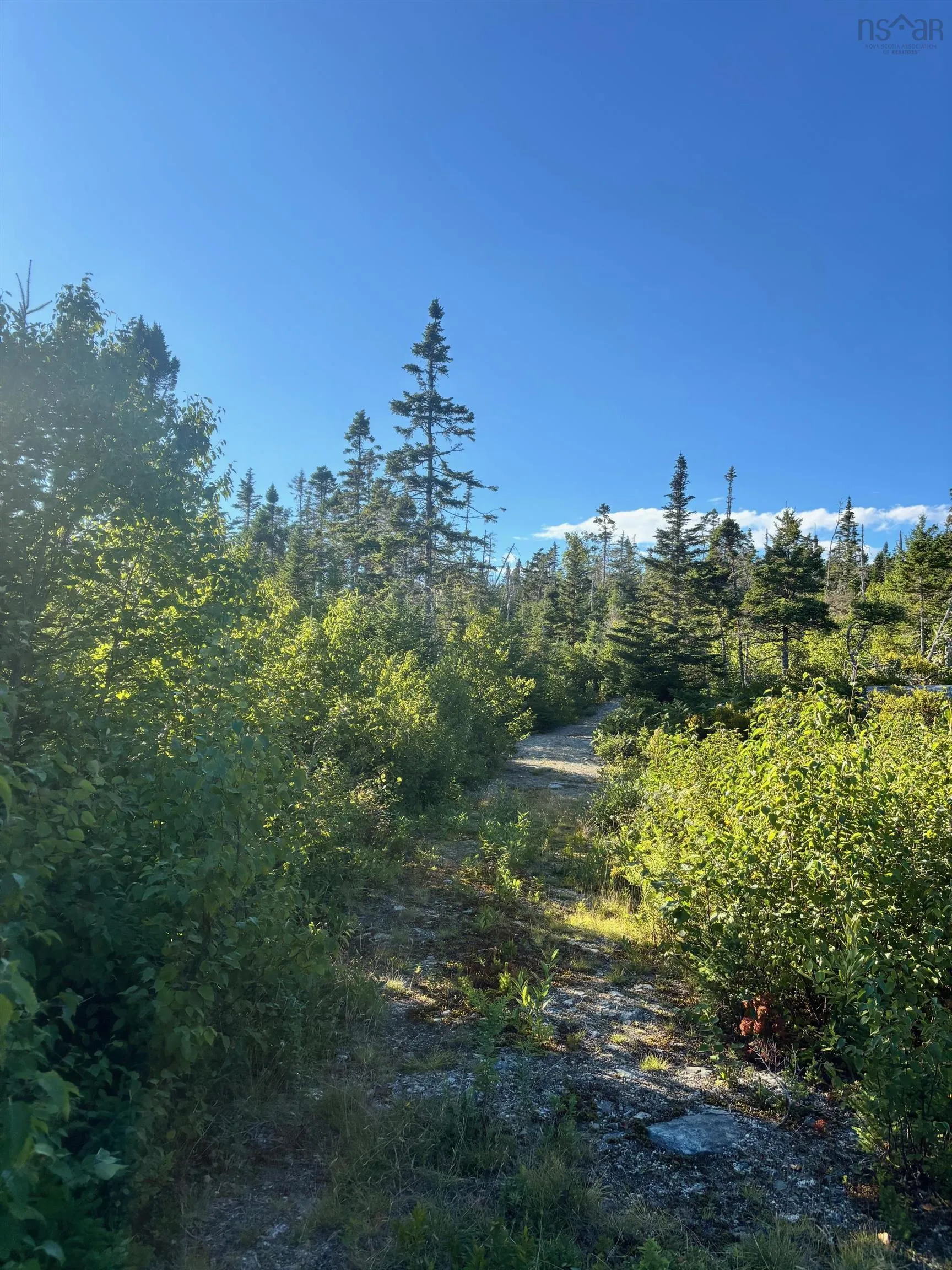 Highway 7 Lot 2, Port Dufferin, NS B0J 2R0, ,Land,For Sale,Highway 7,202523230