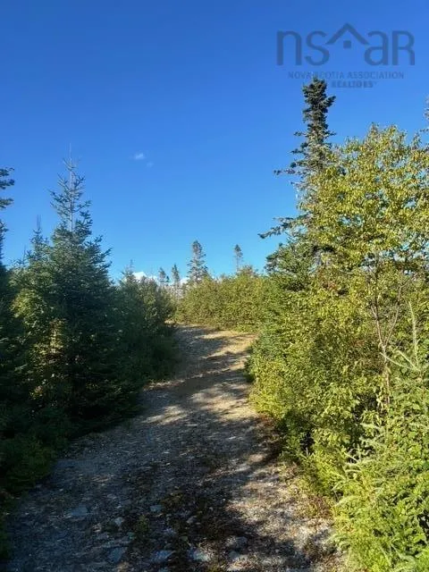 Highway 7 Lot 2, Port Dufferin, NS B0J 2R0, ,Land,For Sale,Highway 7,202523230