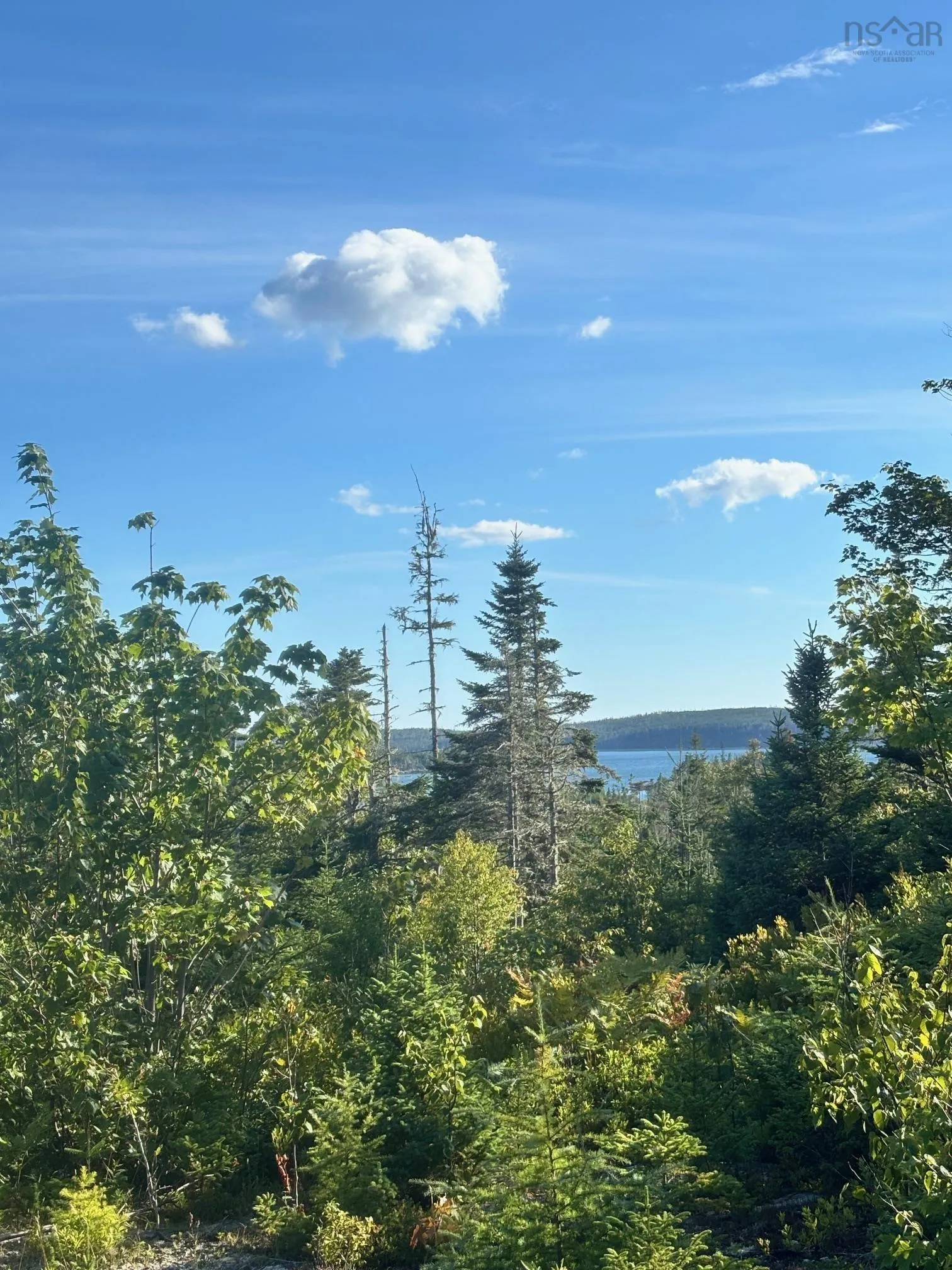 Highway 7 Lot 2, Port Dufferin, NS B0J 2R0, ,Land,For Sale,Highway 7,202523230