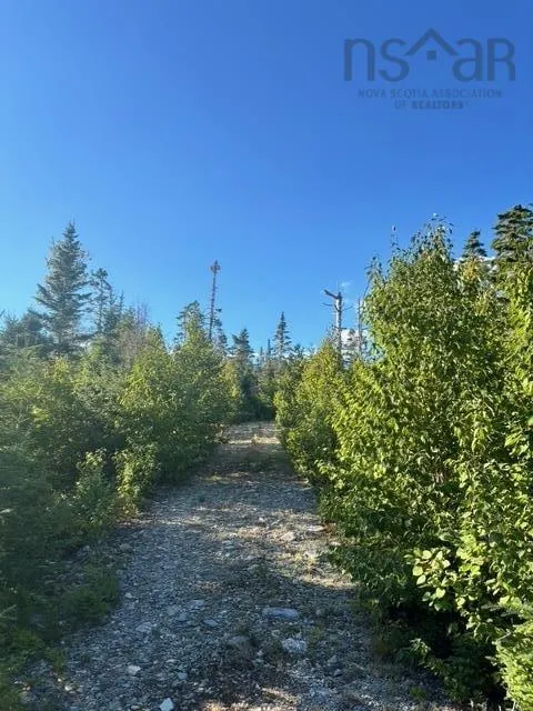 Highway 7 Lot 2, Port Dufferin, NS B0J 2R0, ,Land,For Sale,Highway 7,202523230